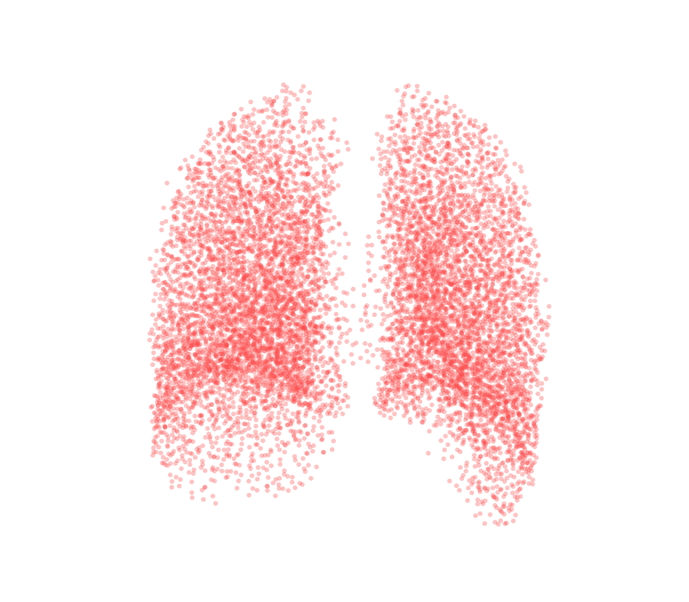 Point Cloud (Expiration) - Back View