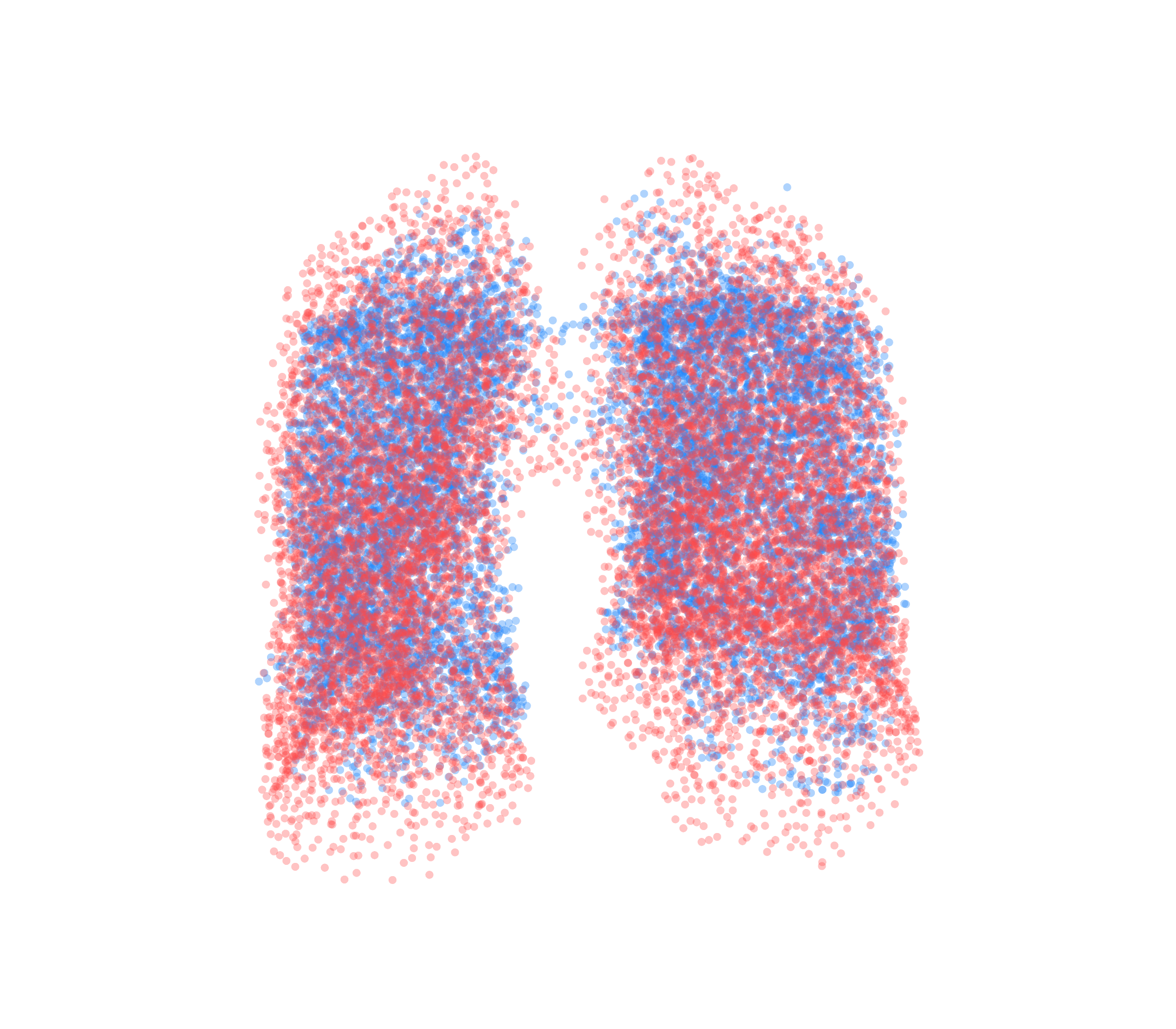 Point Cloud - Front View