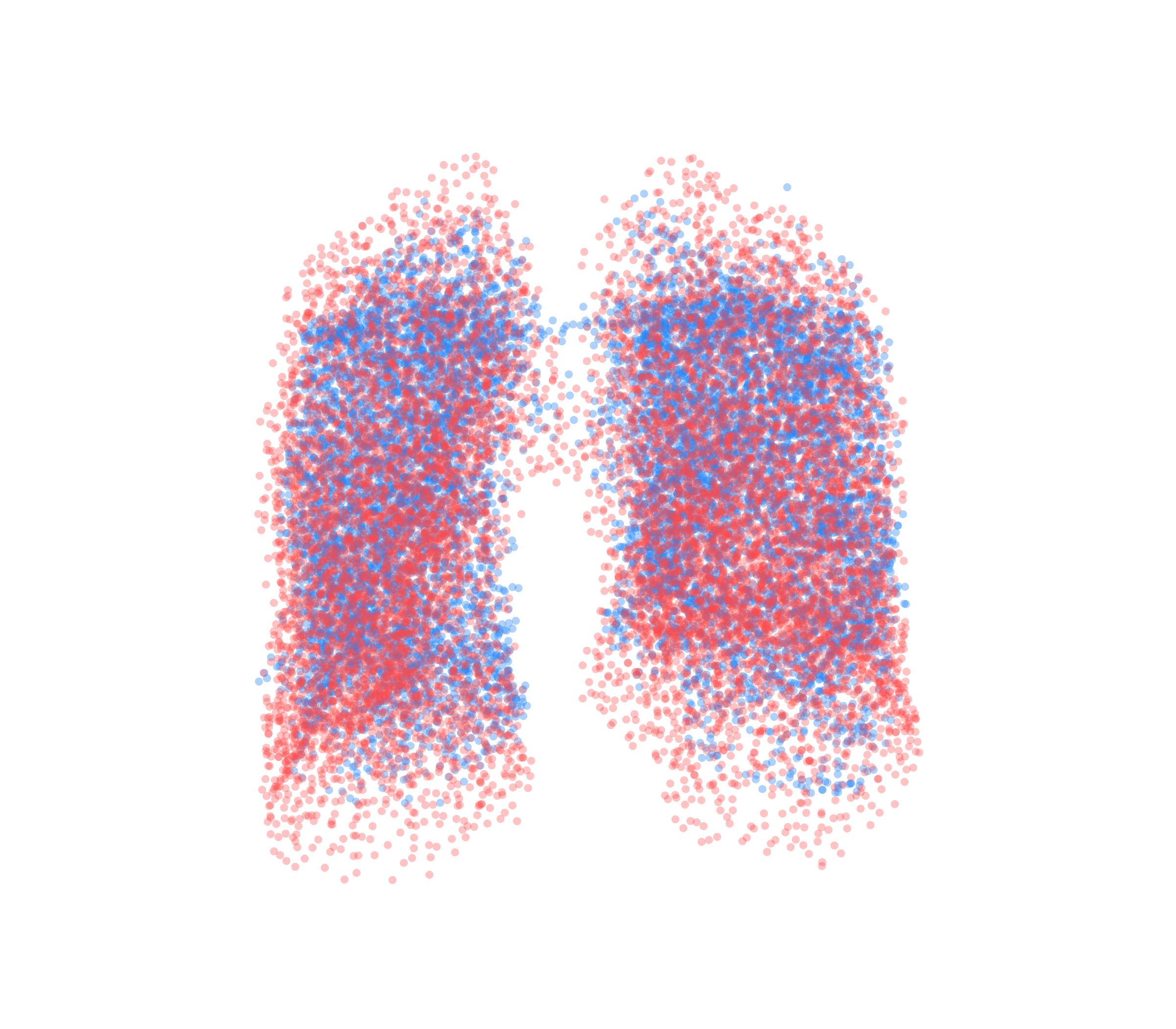 Point Cloud - Front View