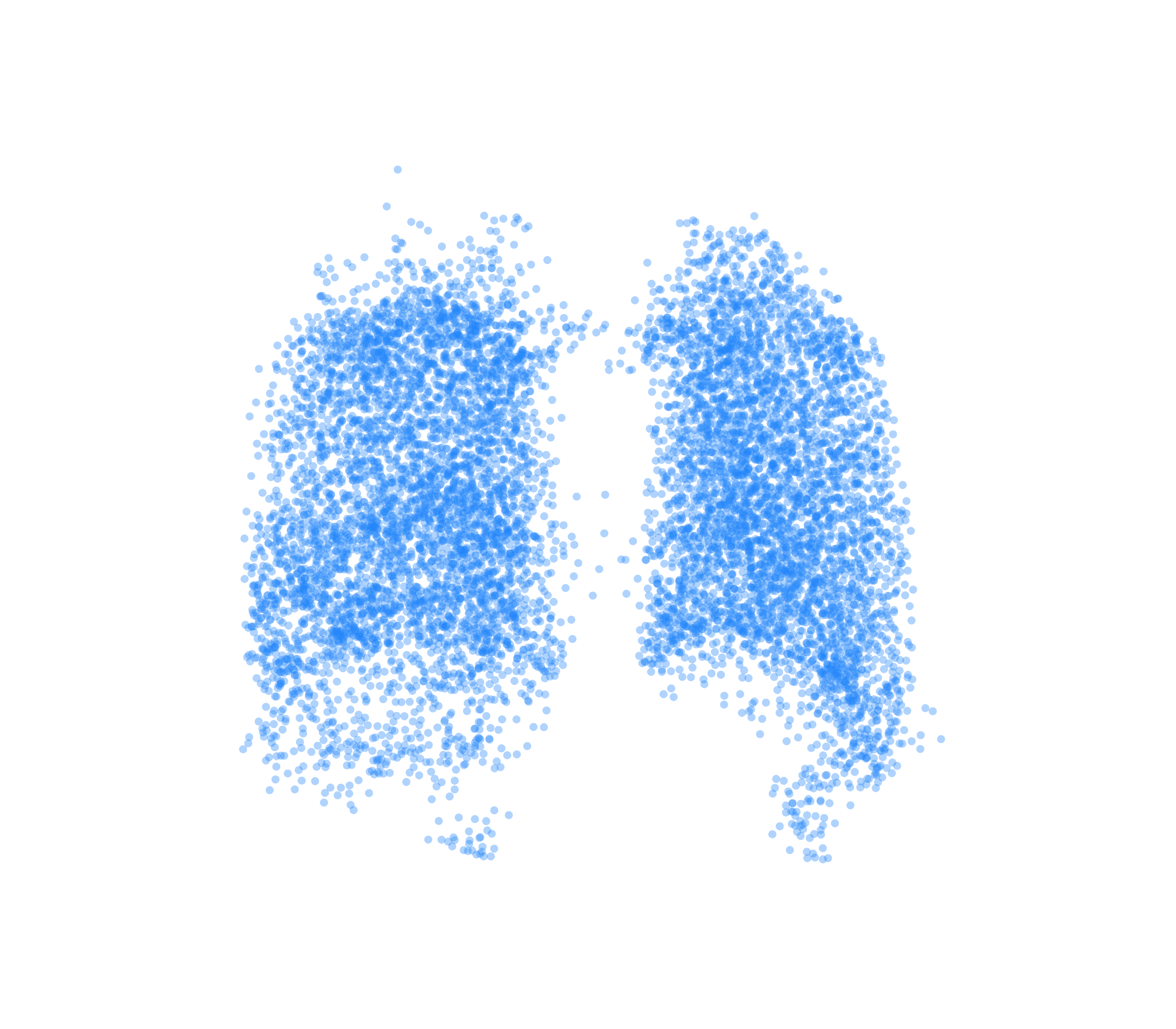 Point Cloud (Inspiration) - Back View