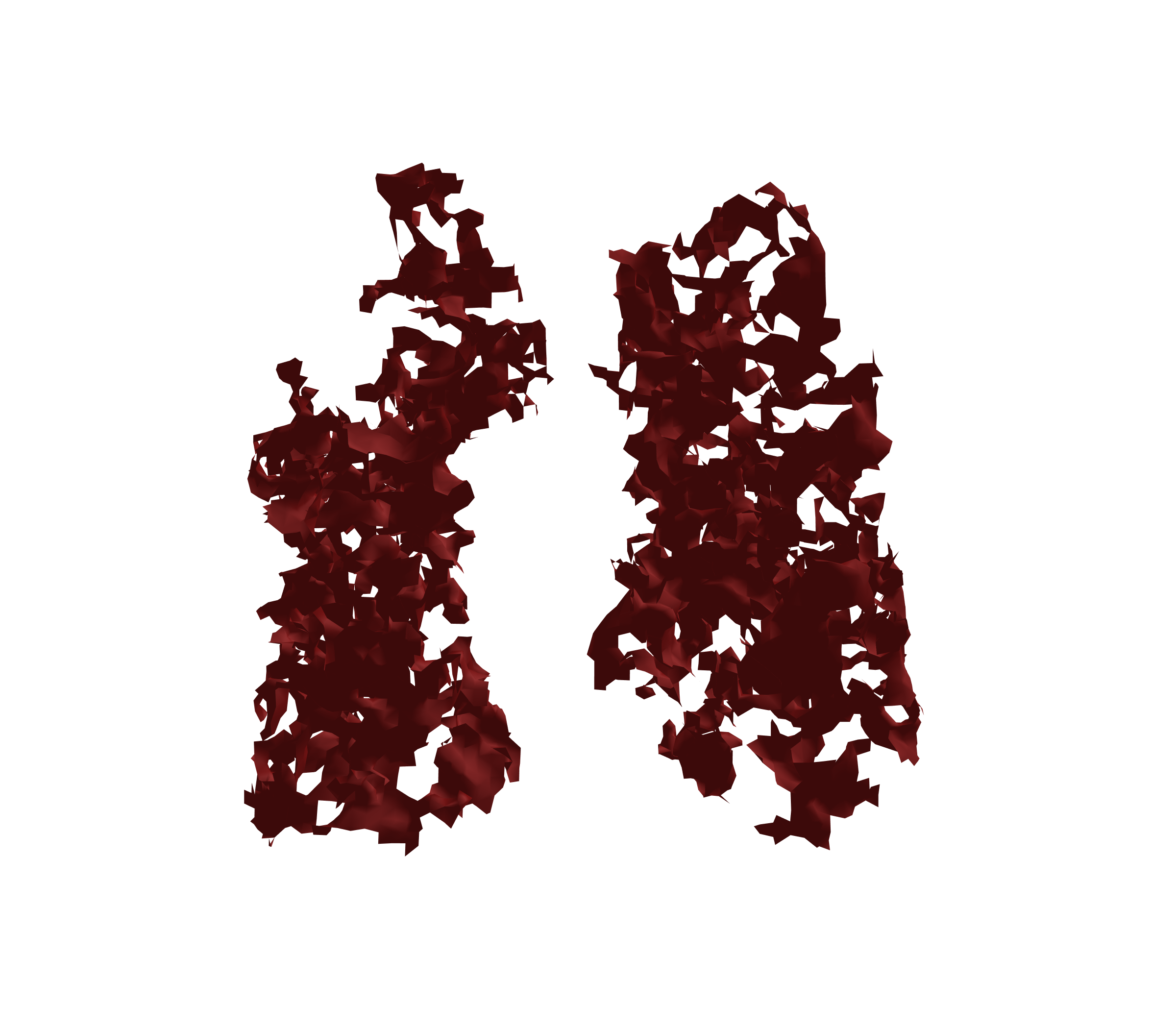 Surface Mesh (Expiration) - Front View