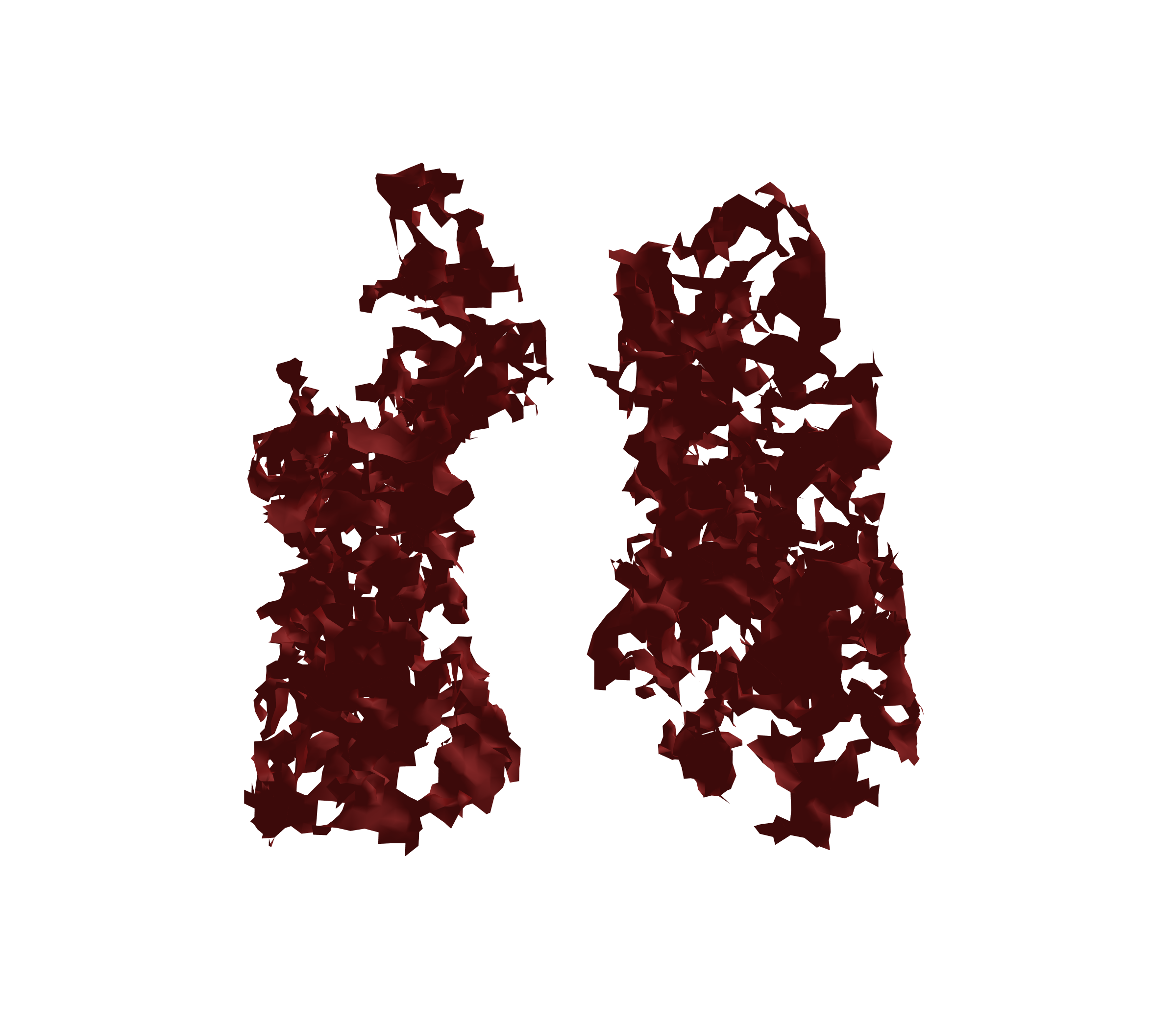 Surface Mesh (Expiration) - Front View