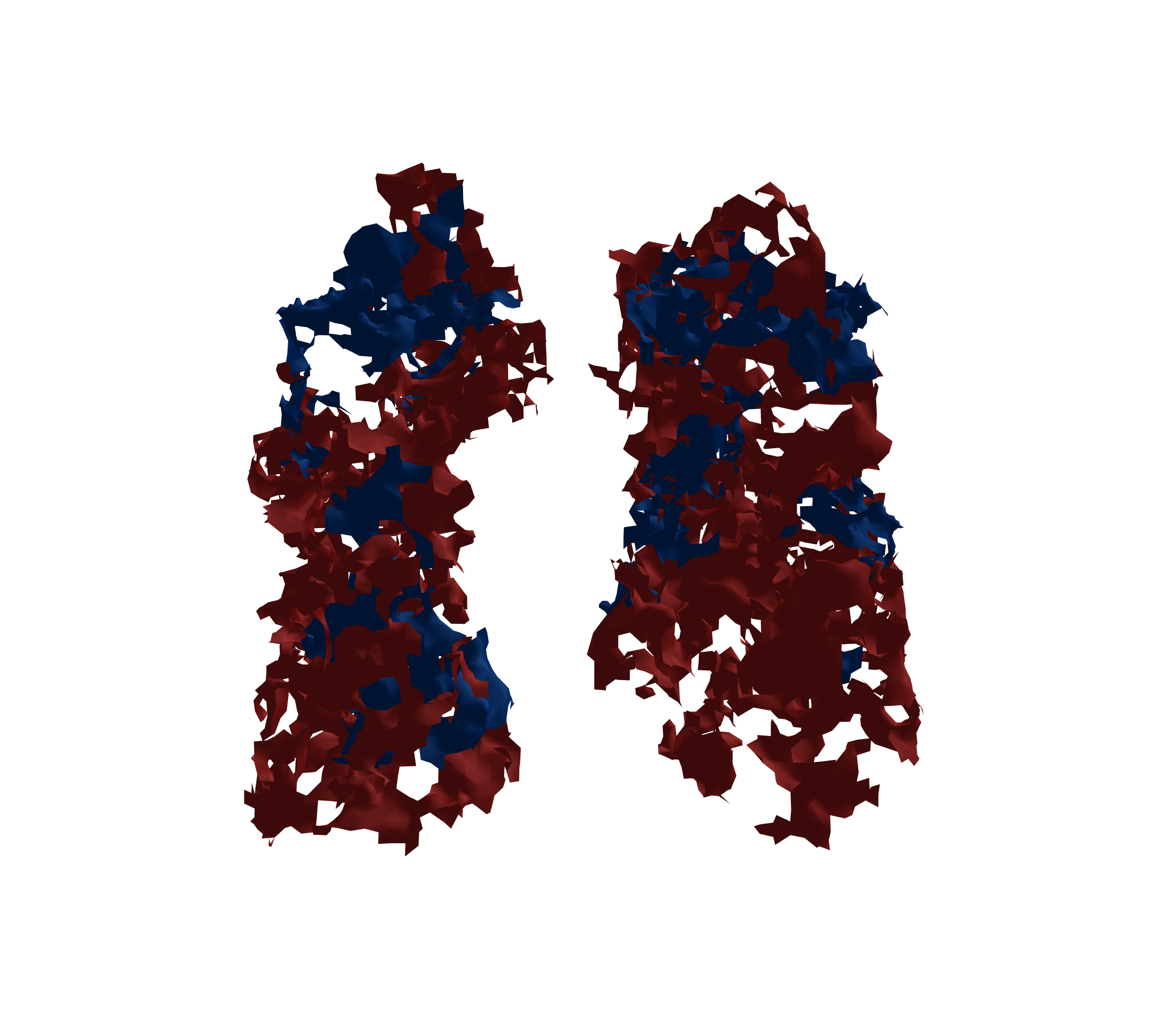 Surface Mesh - Front View