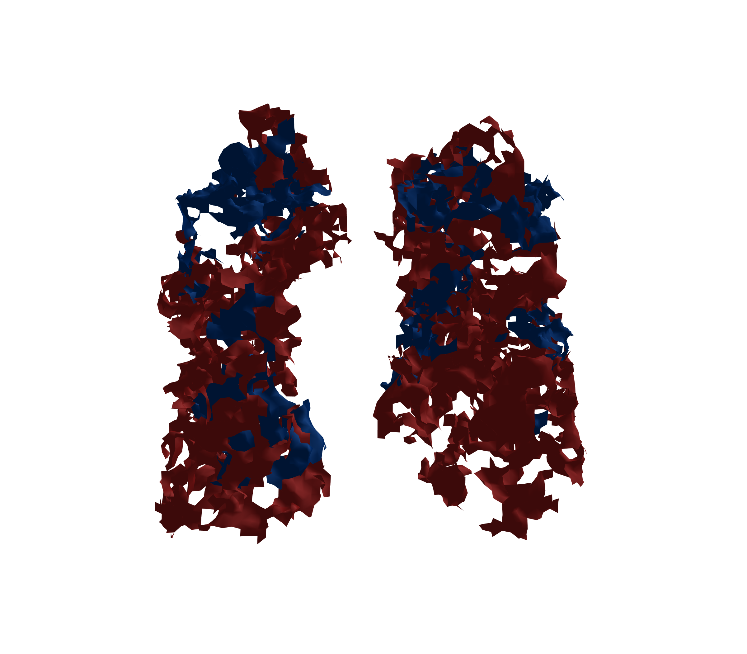 Surface Mesh - Front View