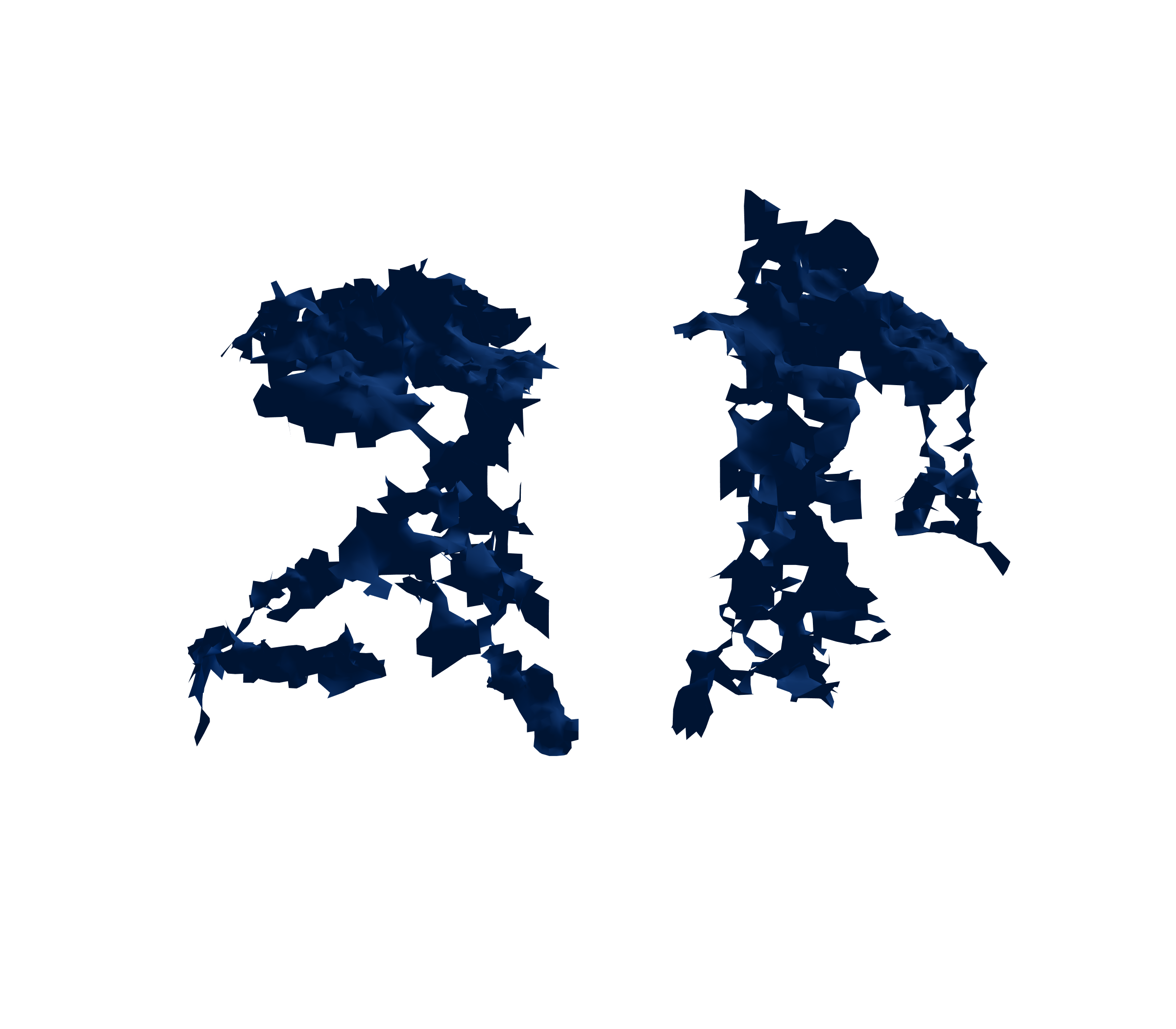 Surface Mesh (Inspiration) - Back View