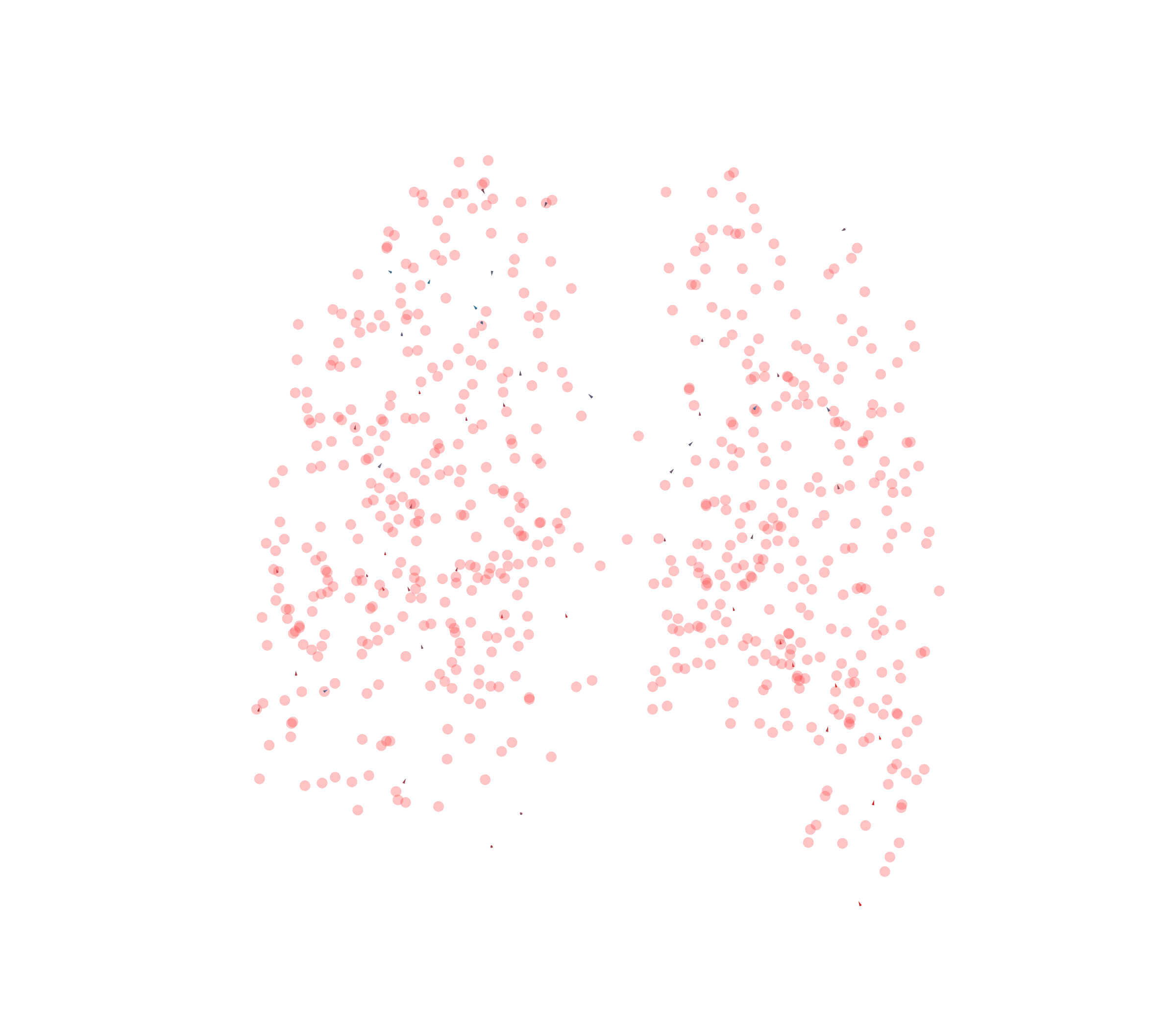 Displacement Vectors - Back View