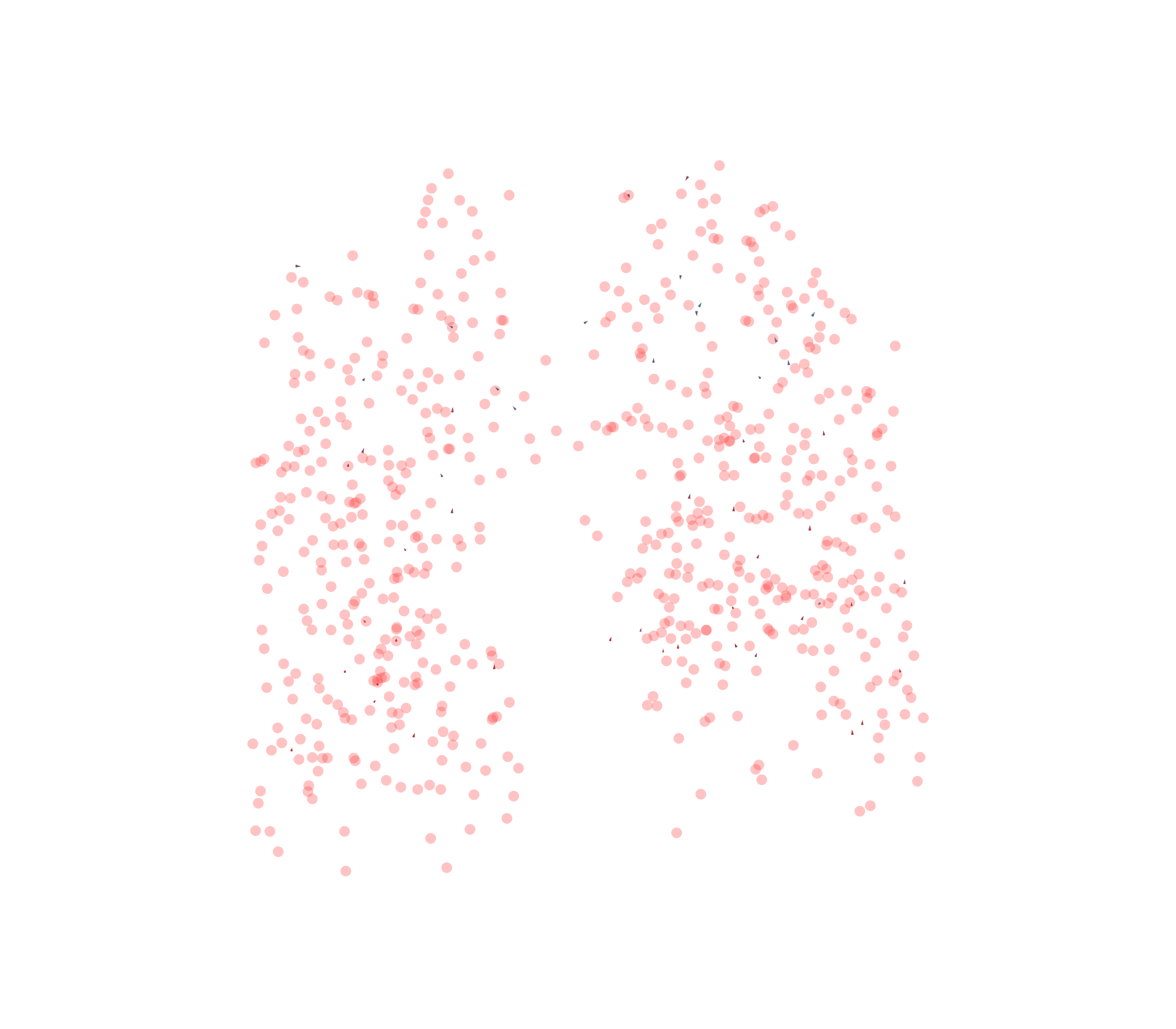 Displacement Vectors - Front View