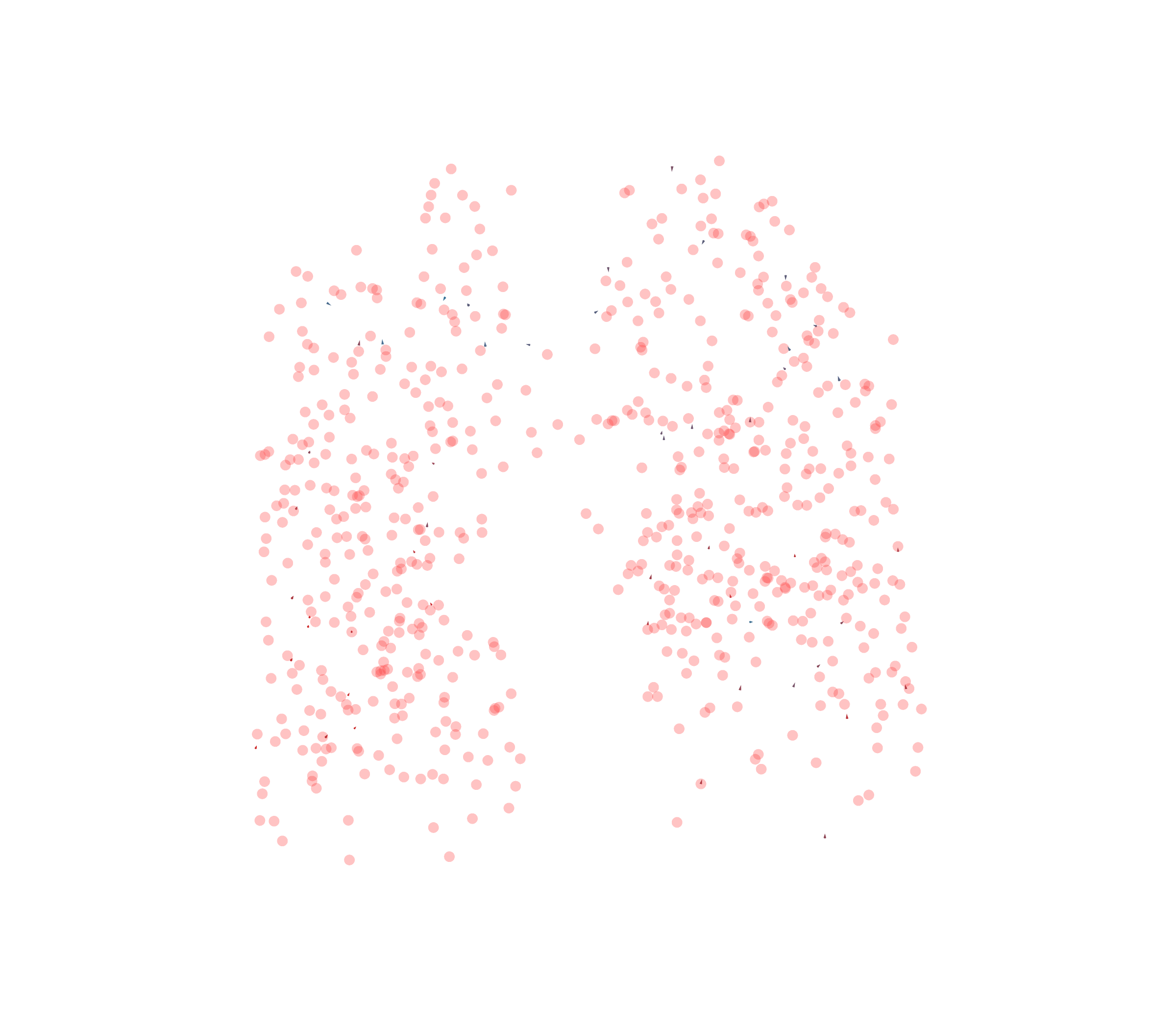 Displacement Vectors - Front View