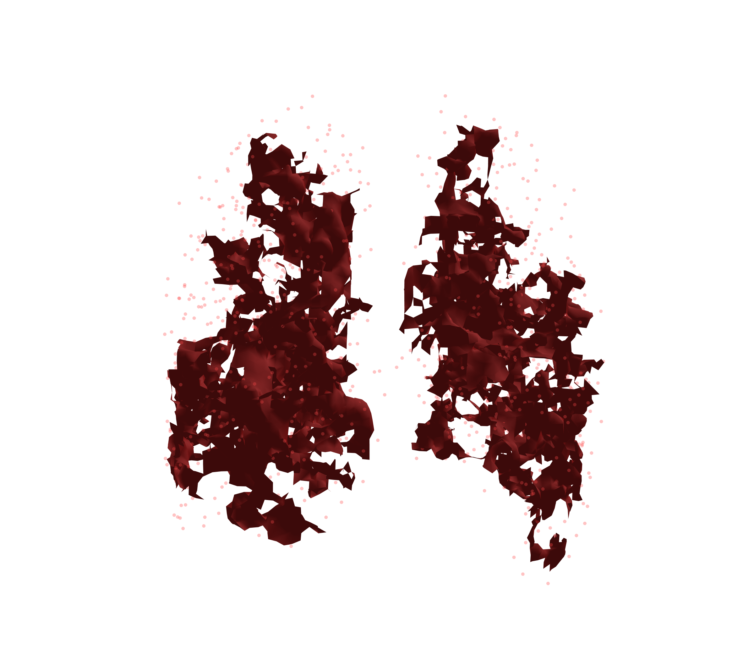 Combined Visualization (Expiration) - Back View