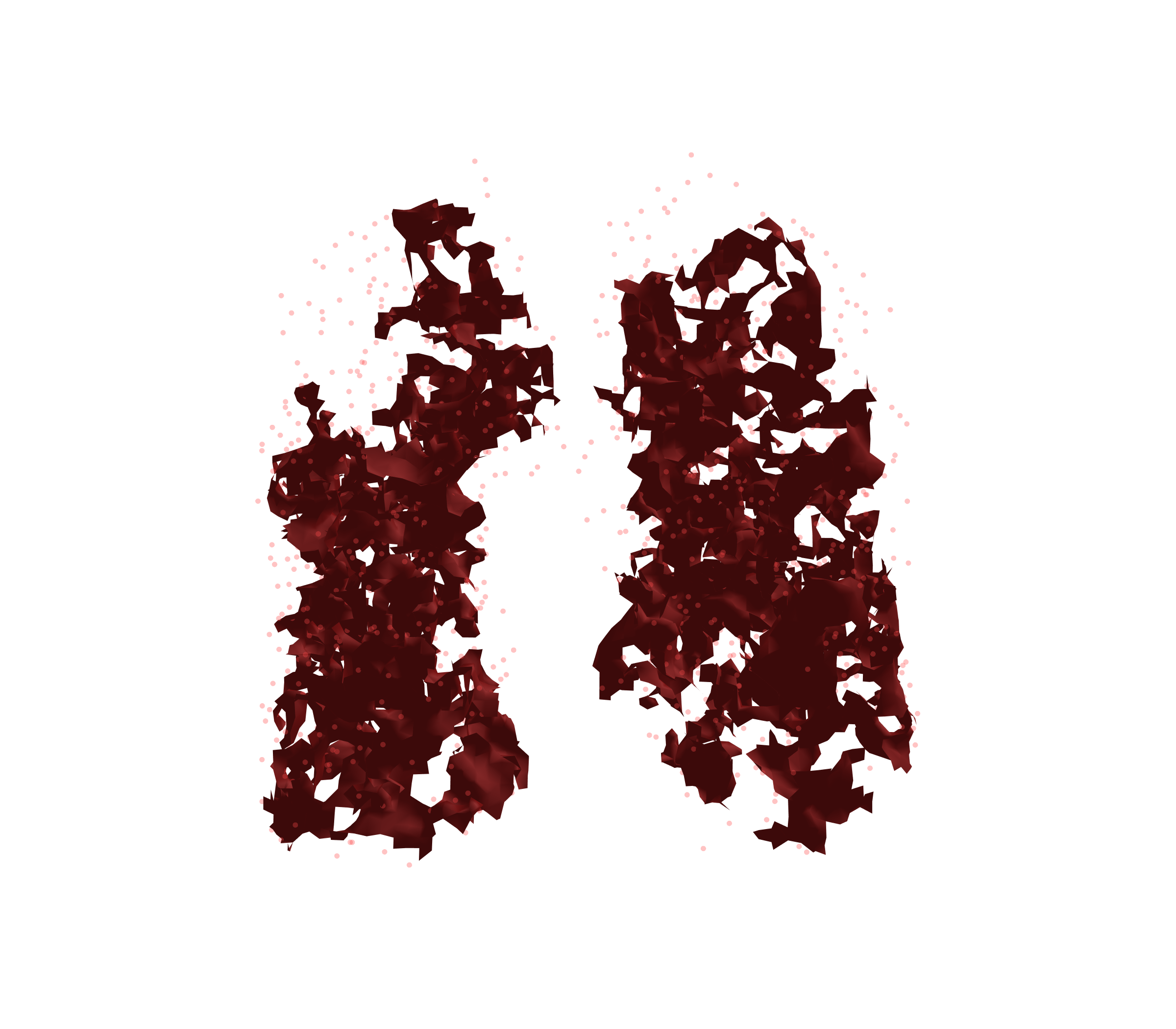 Combined Visualization (Expiration) - Front View