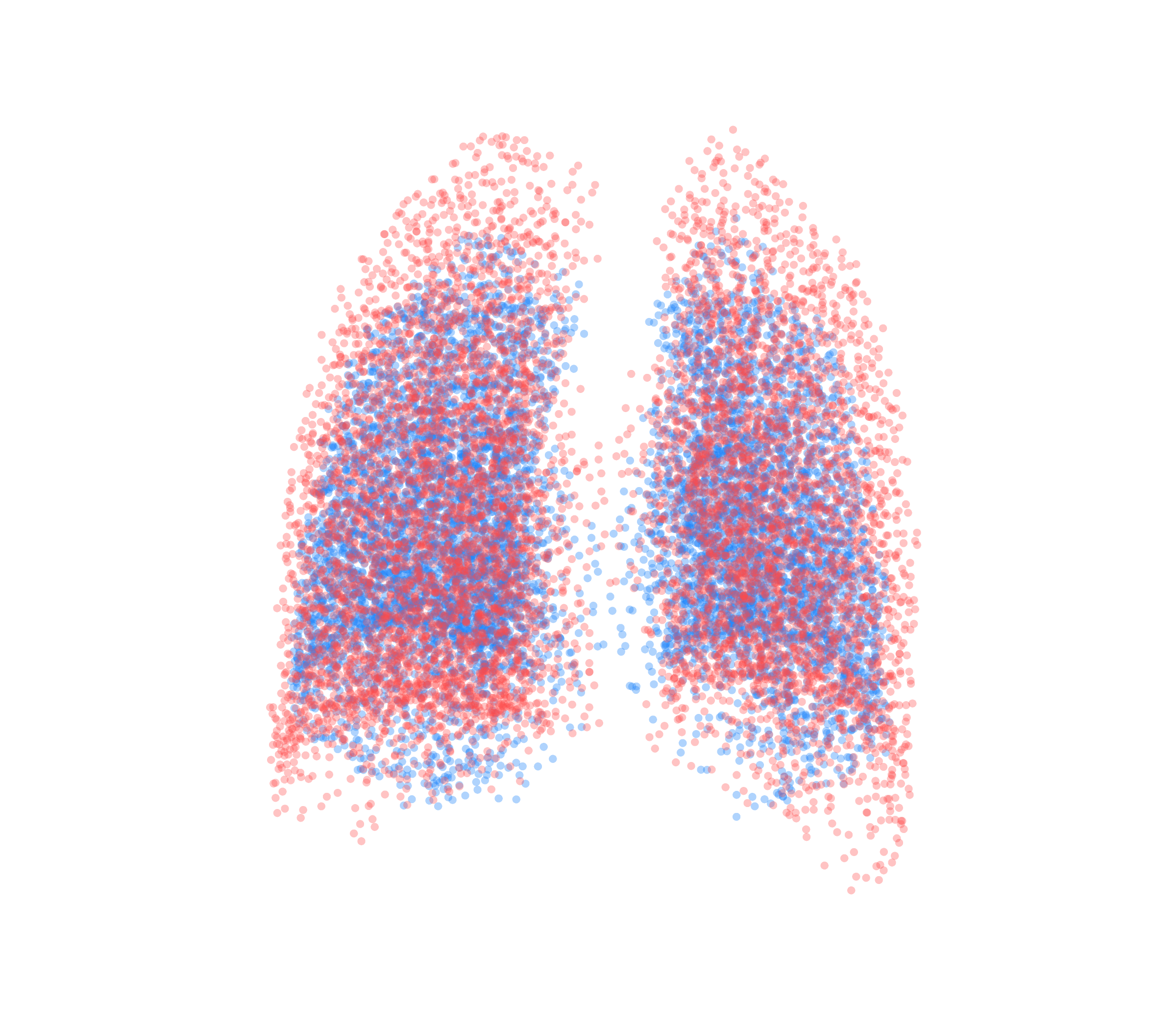 Point Cloud - Back View