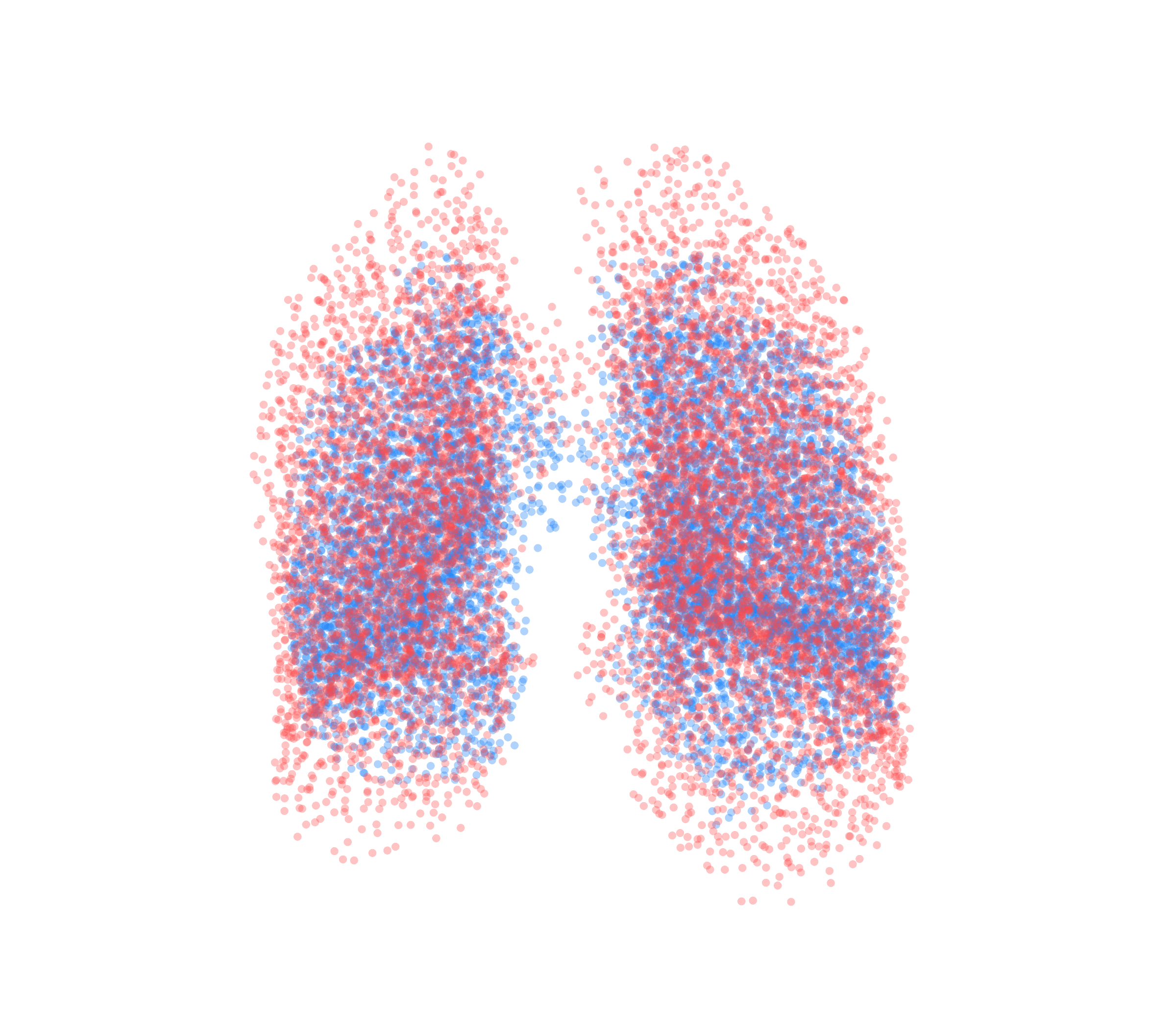 Point Cloud - Front View