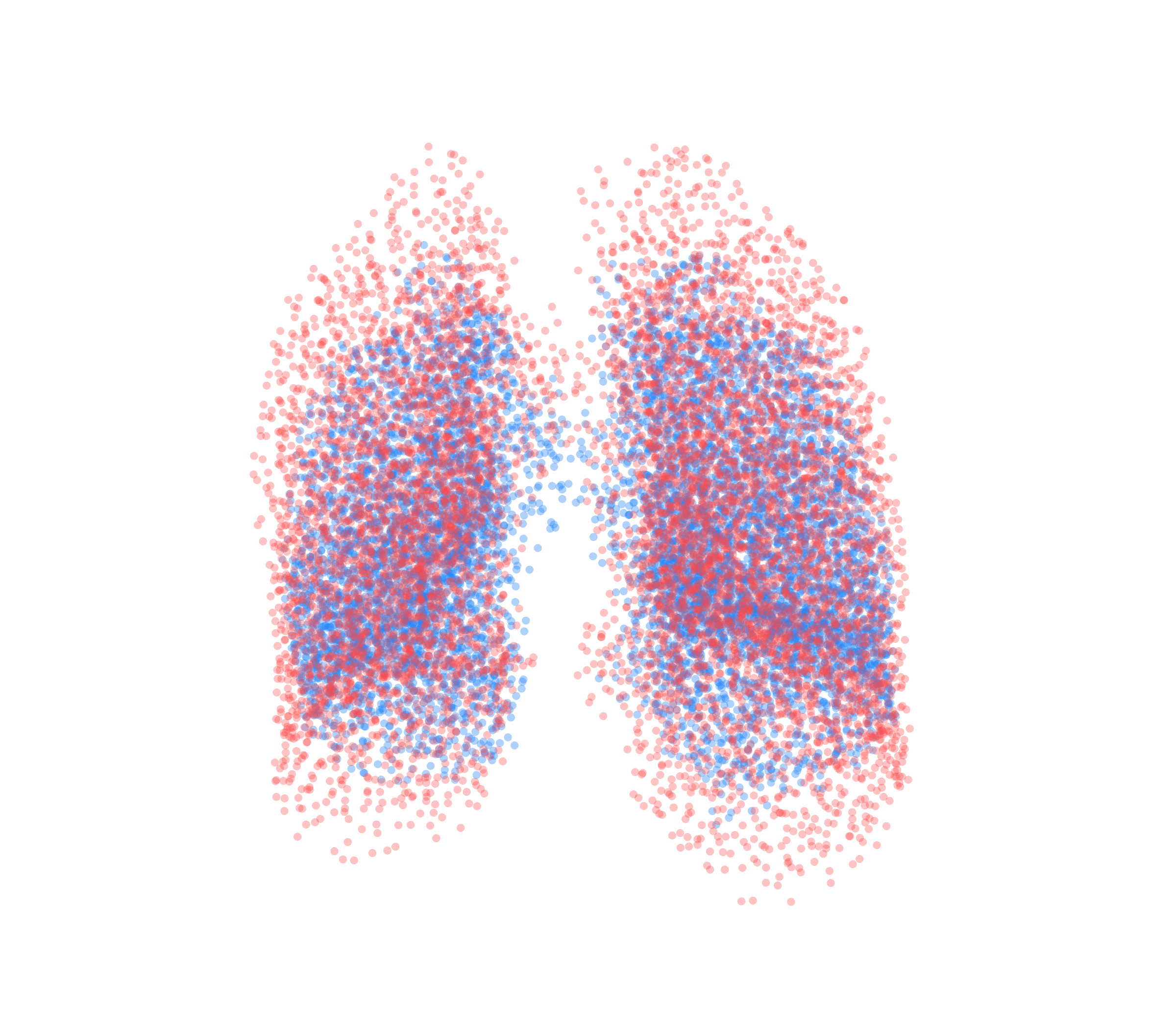 Point Cloud - Front View