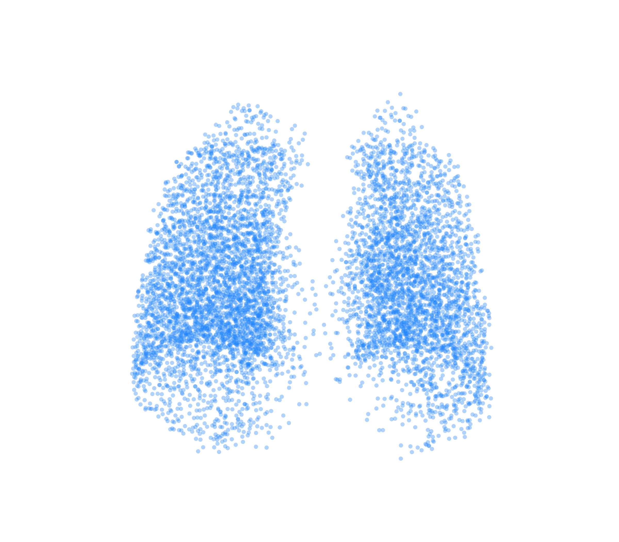 Point Cloud (Inspiration) - Back View