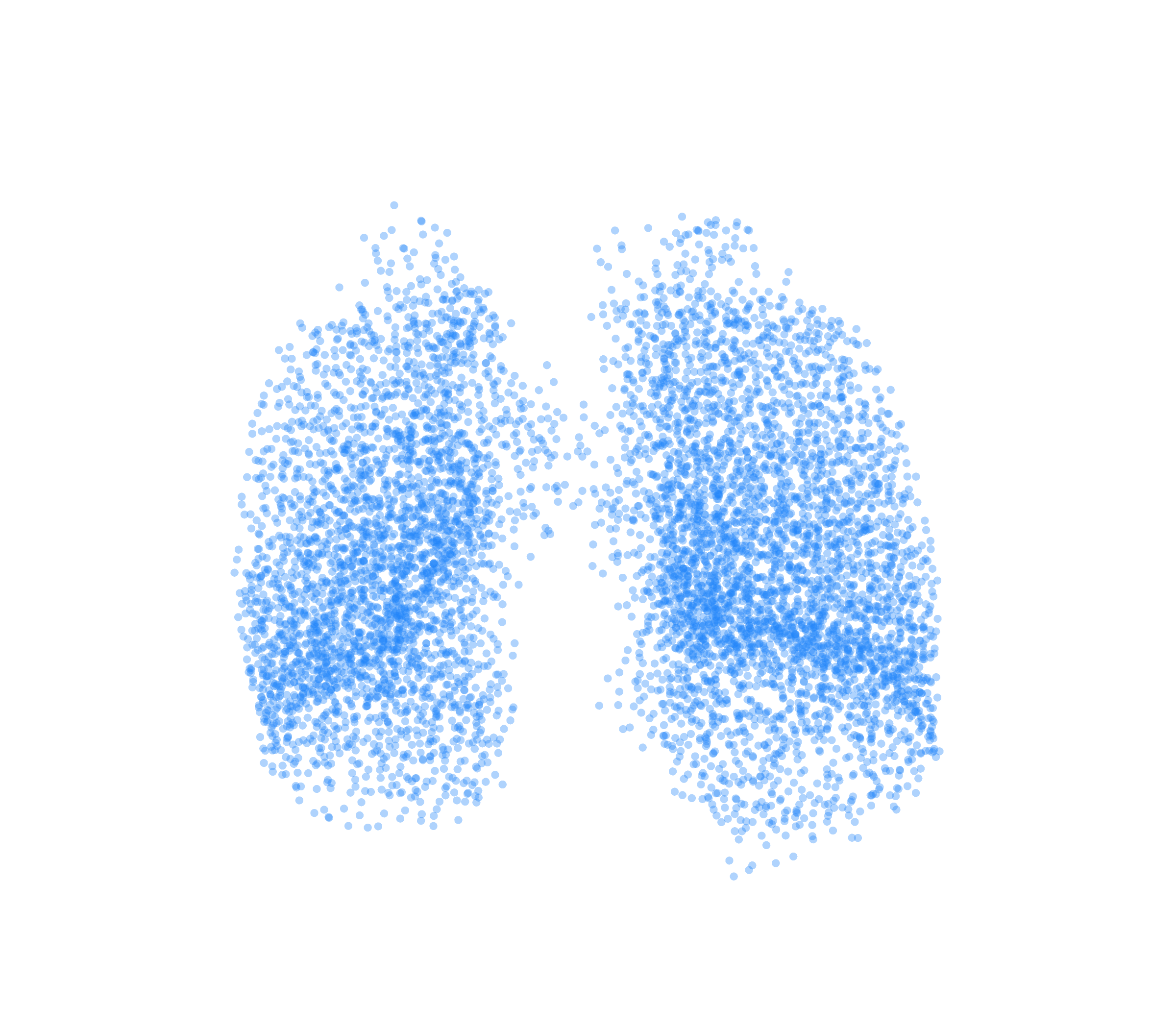 Point Cloud (Inspiration) - Front View
