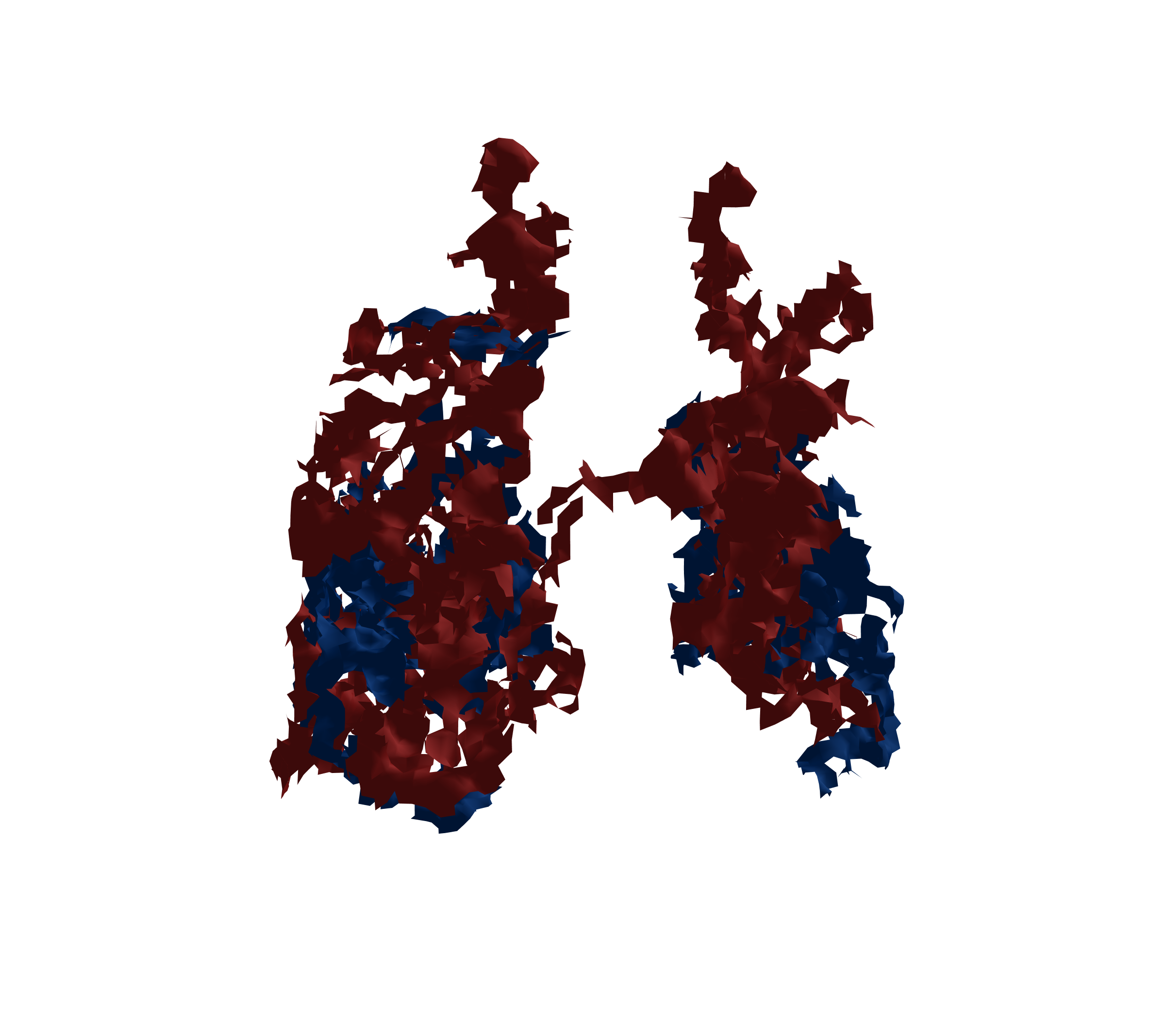 Surface Mesh - Back View