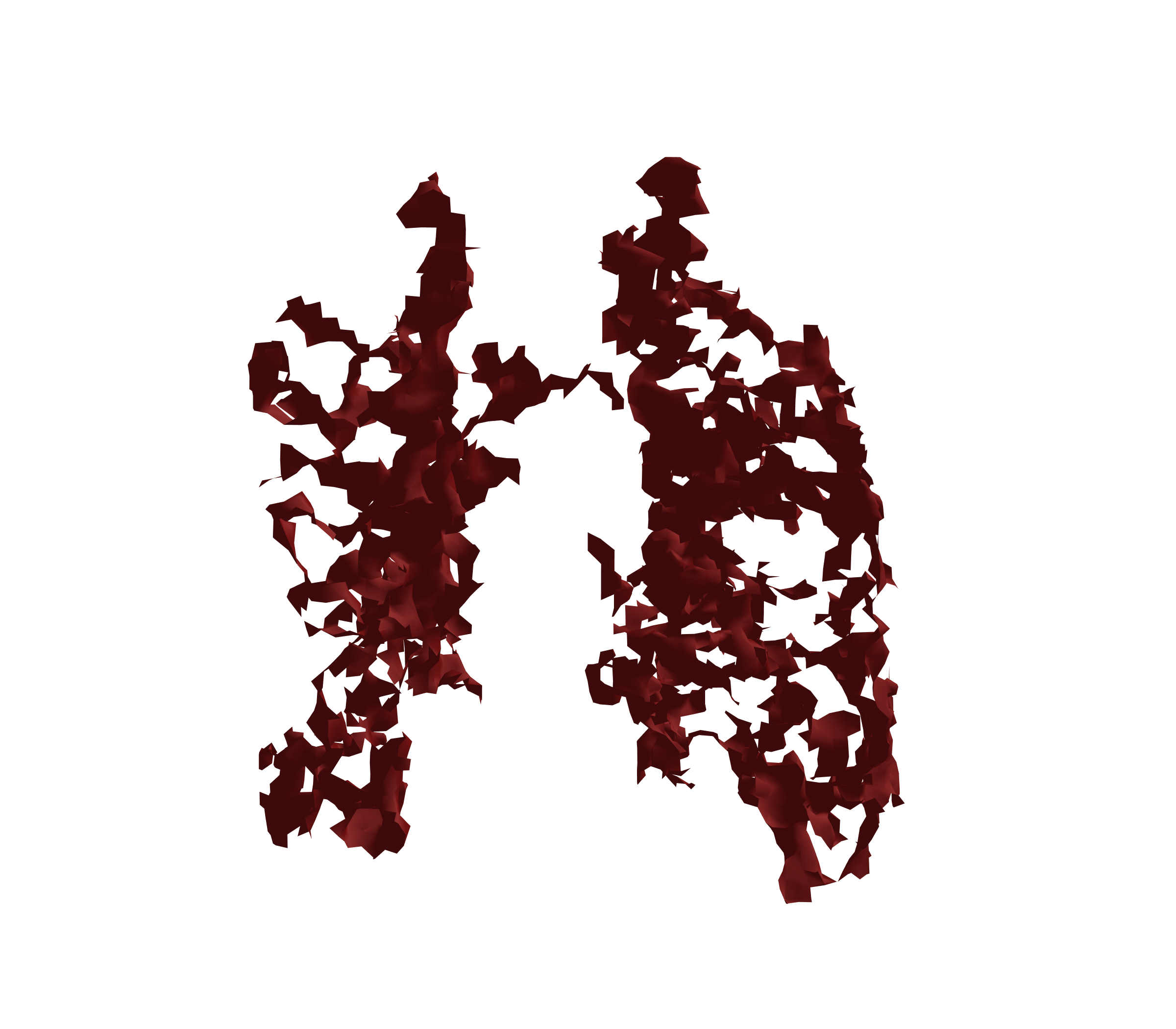 Surface Mesh (Expiration) - Front View