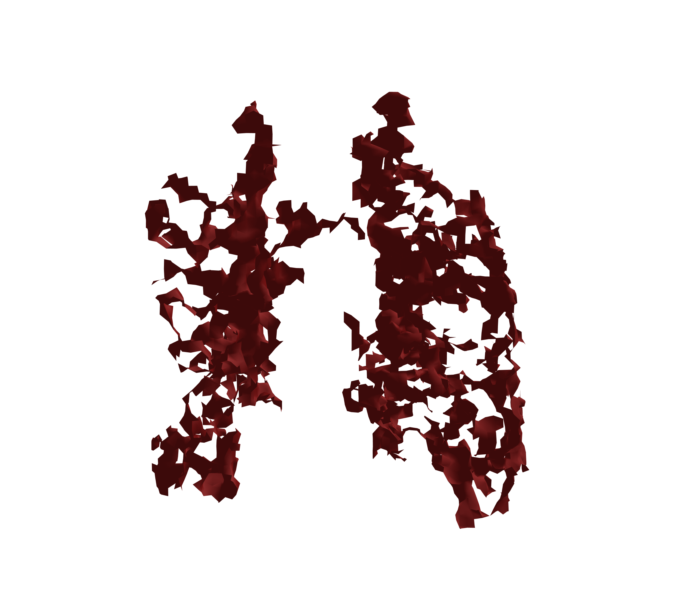 Surface Mesh (Expiration) - Front View