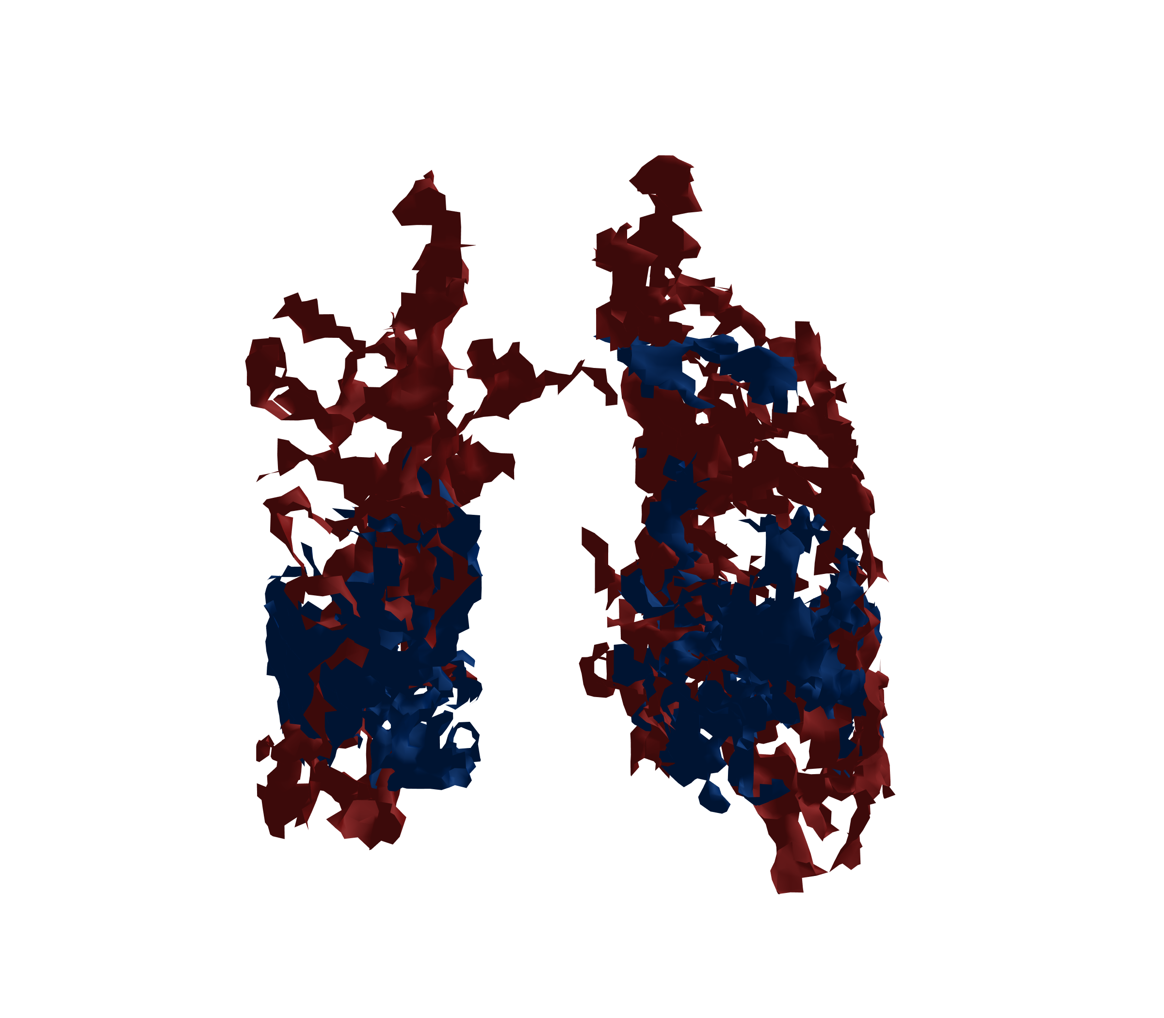 Surface Mesh - Front View