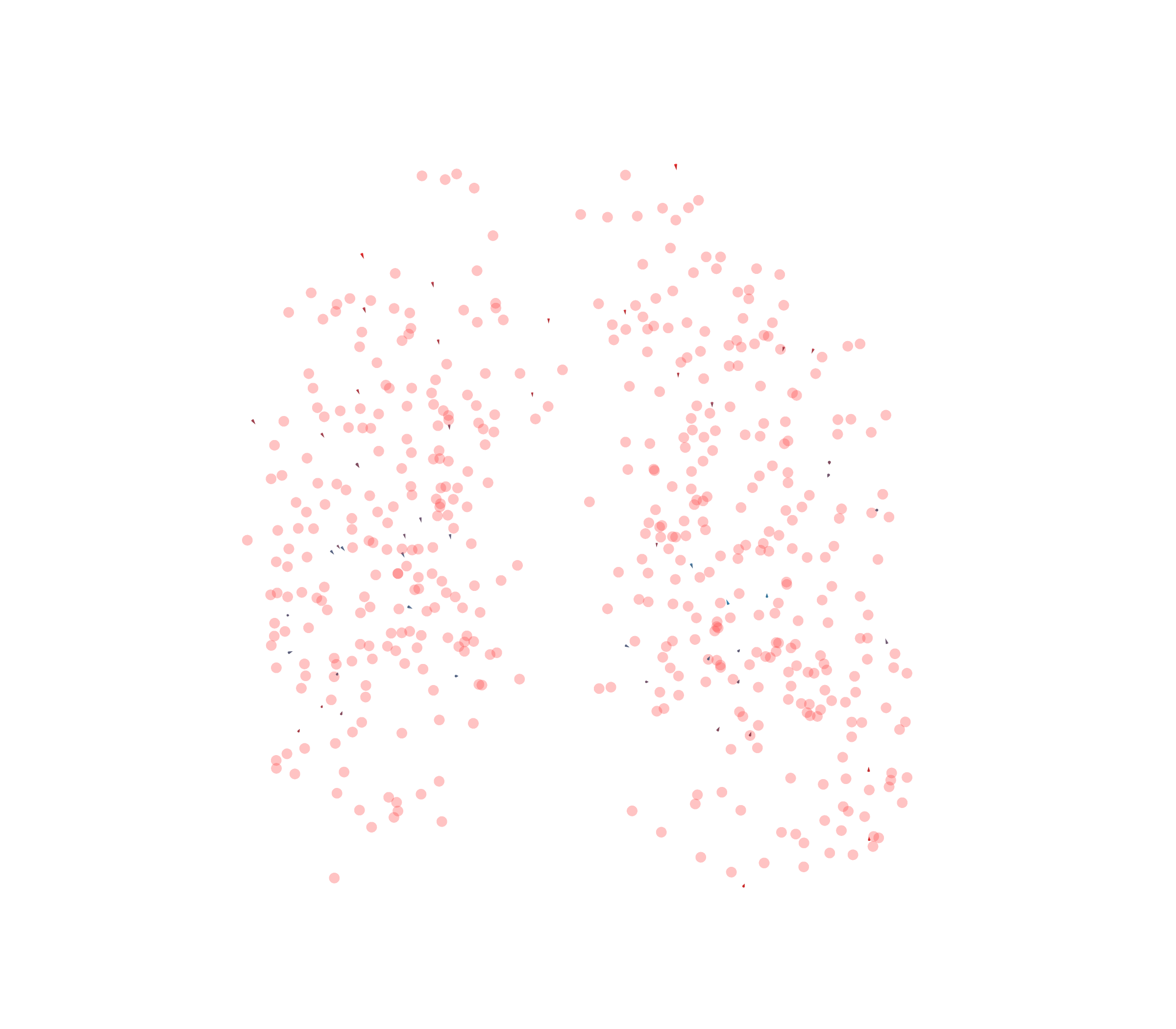 Displacement Vectors - Front View