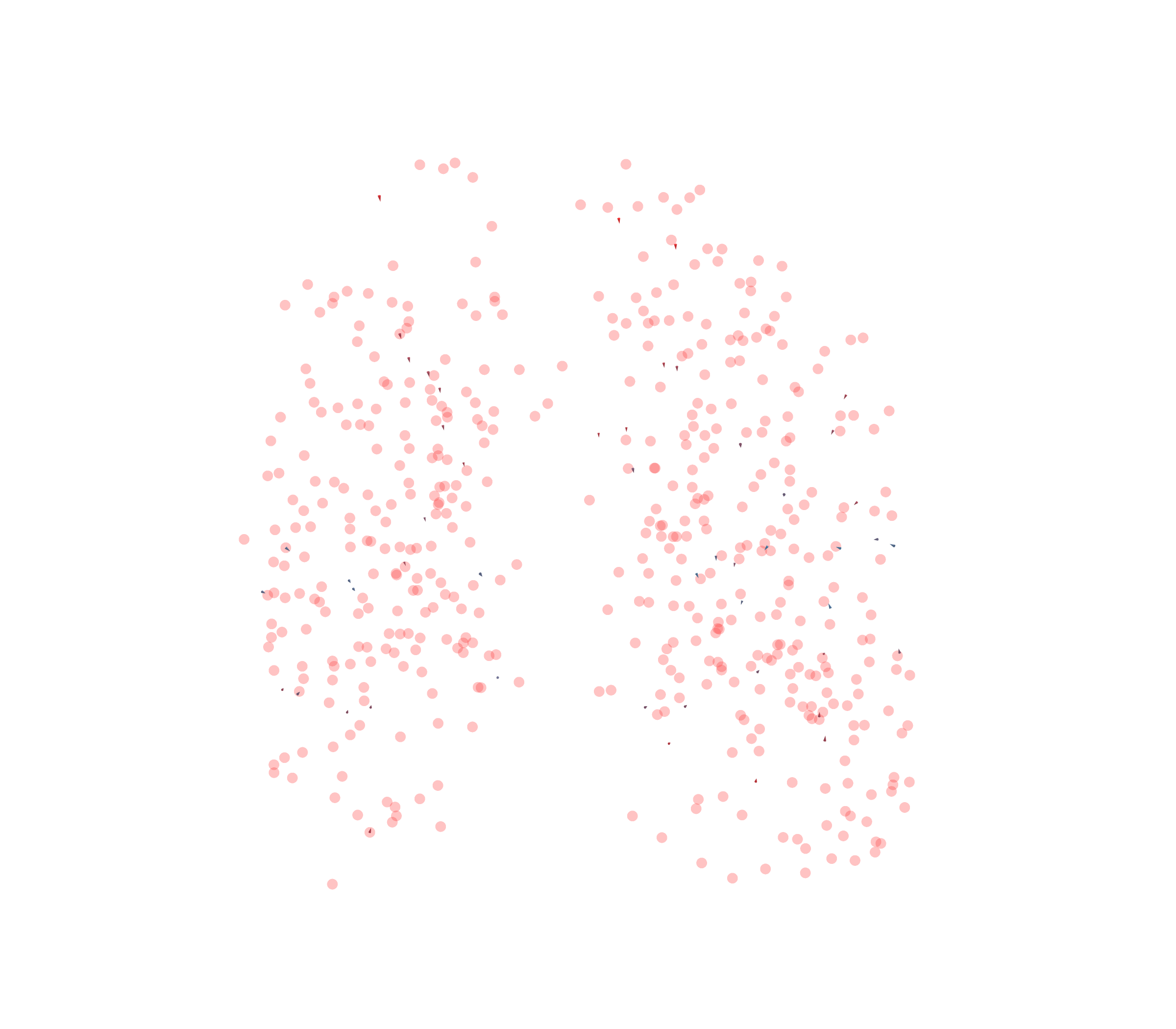 Displacement Vectors - Front View