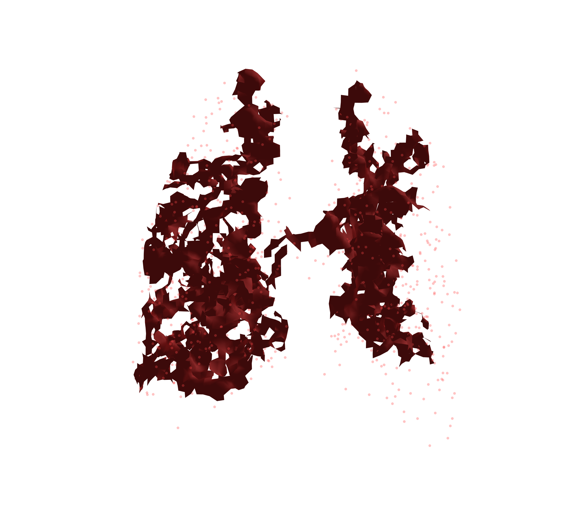 Combined Visualization (Expiration) - Back View