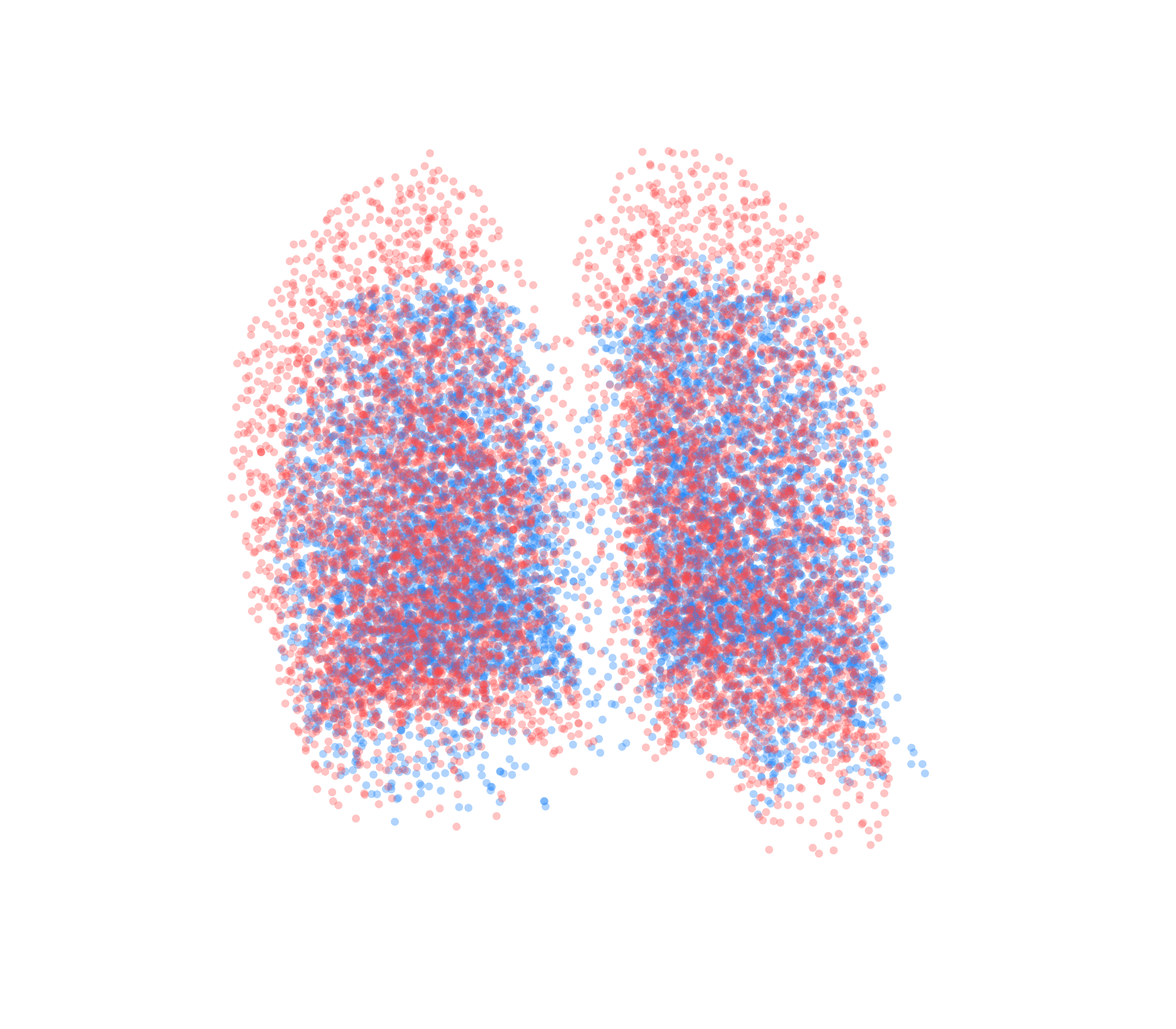 Point Cloud - Back View