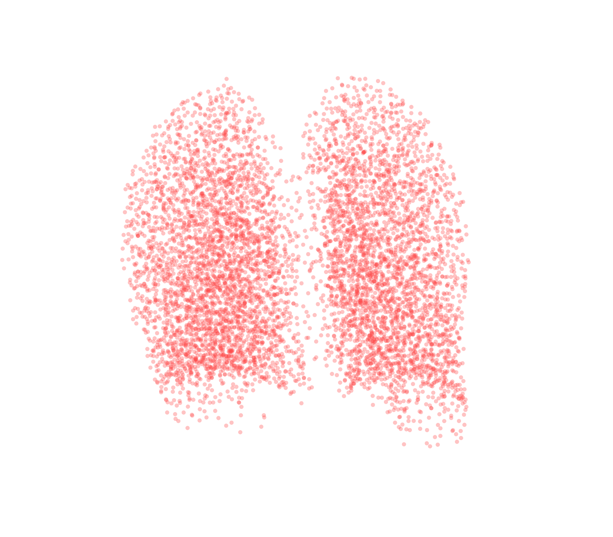 Point Cloud (Expiration) - Back View