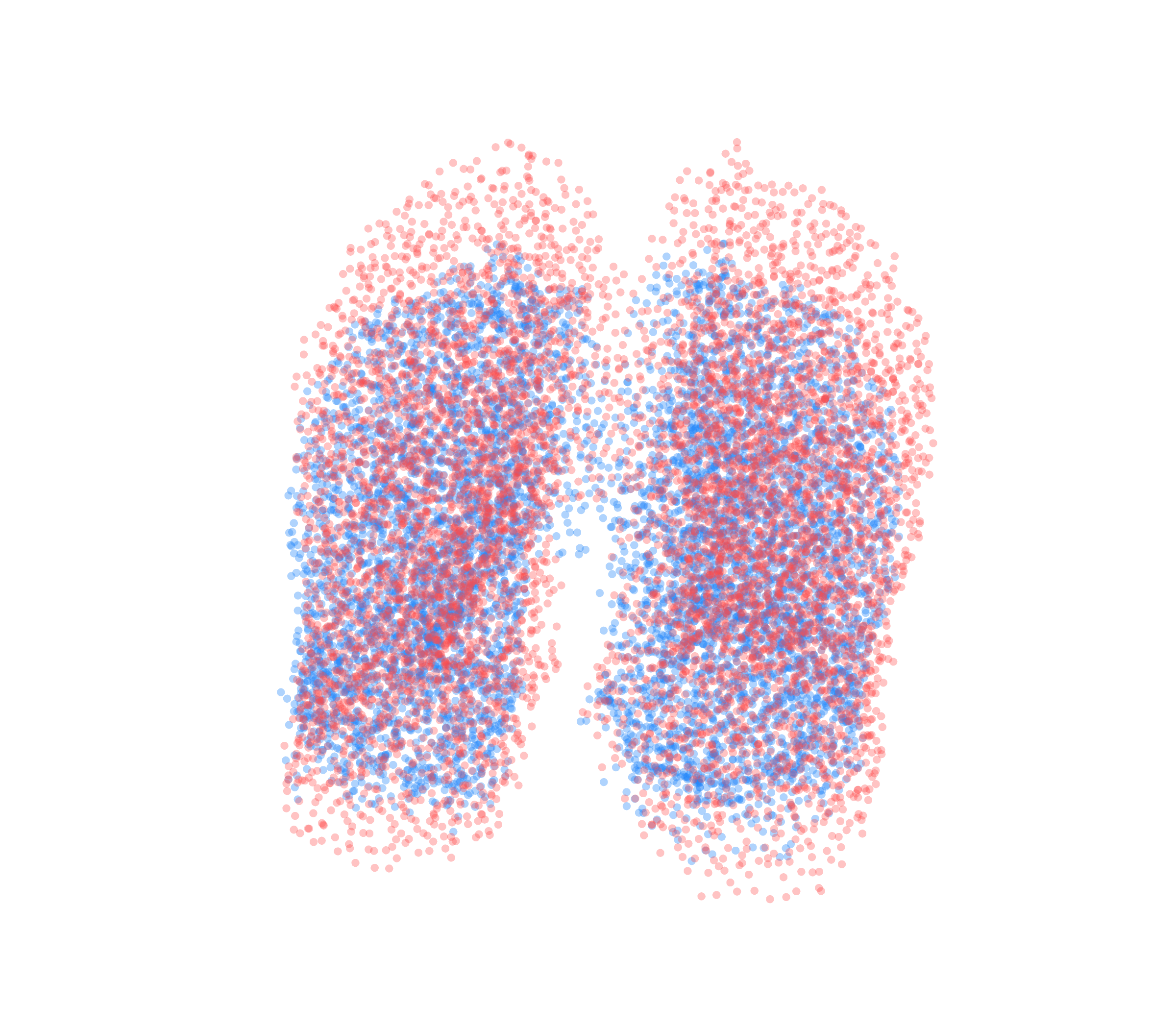 Point Cloud - Front View