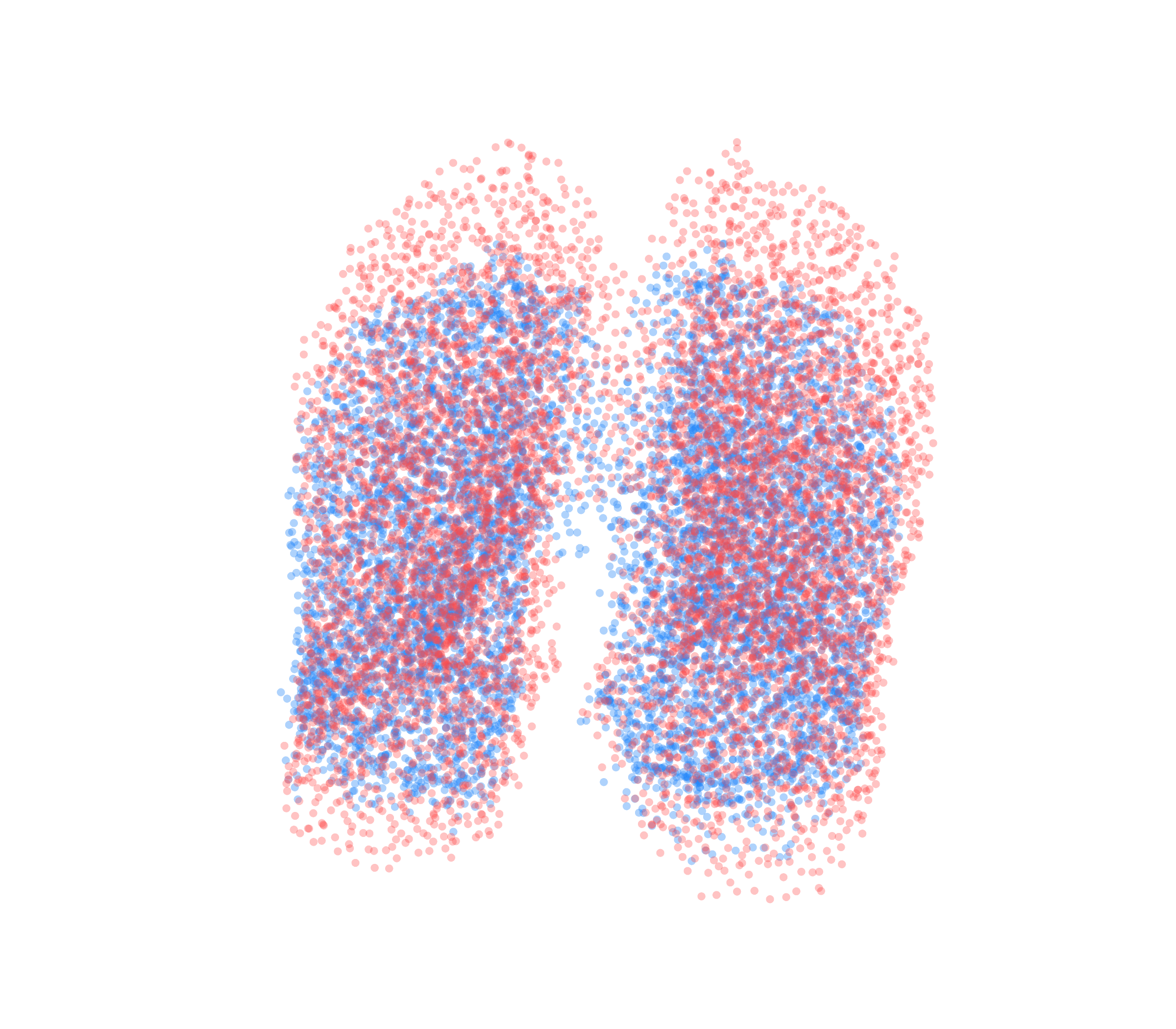 Point Cloud - Front View