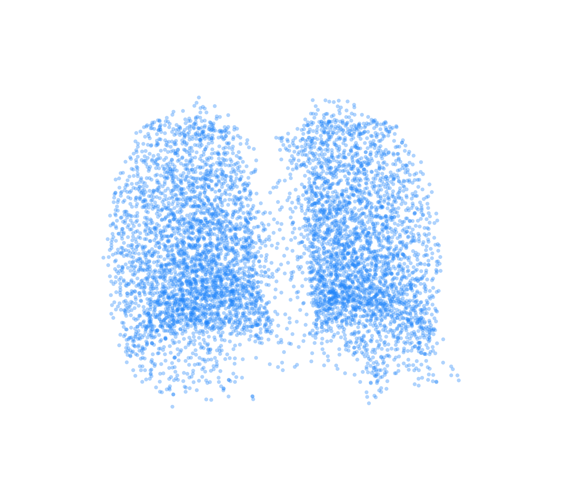 Point Cloud (Inspiration) - Back View