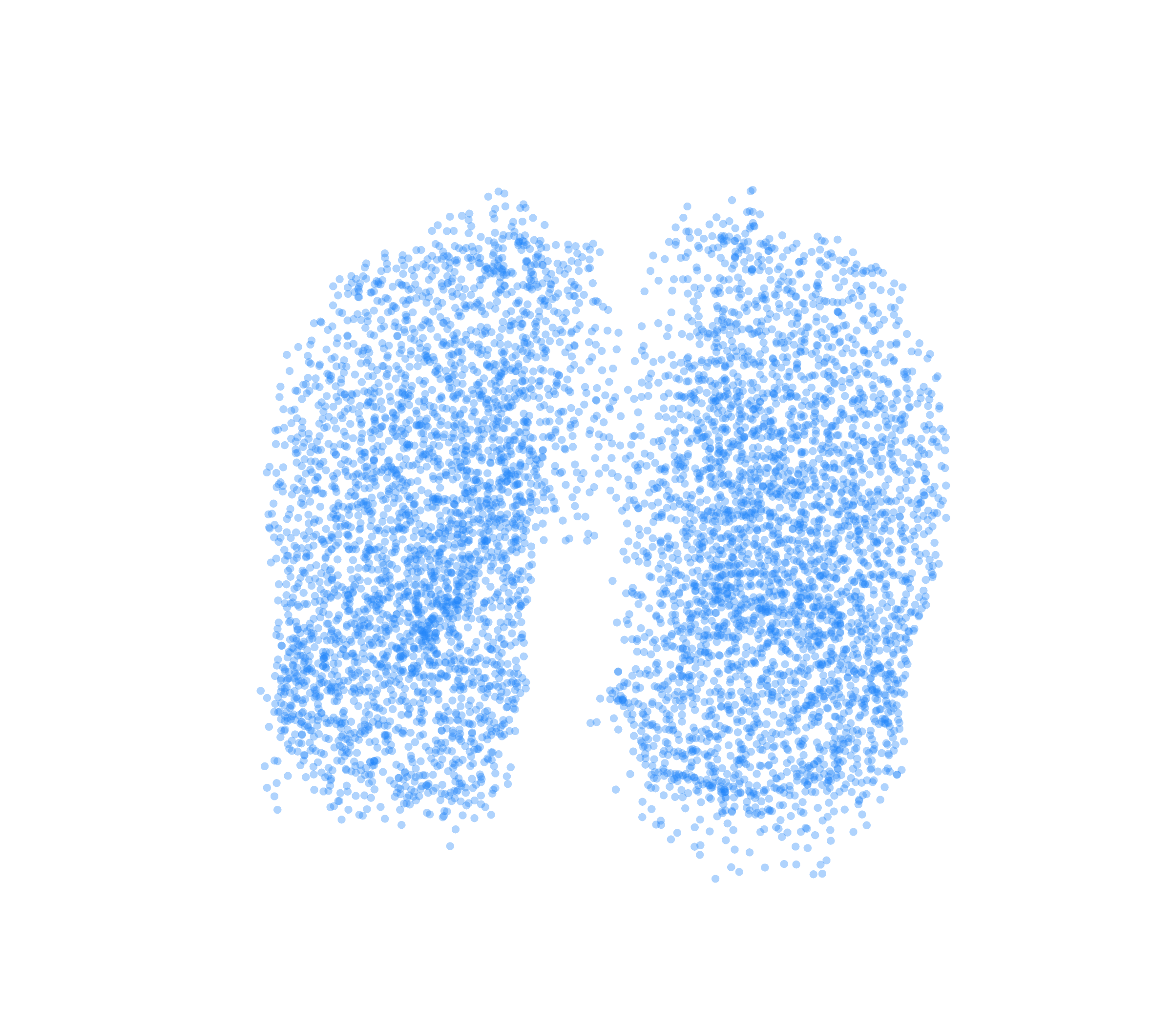 Point Cloud (Inspiration) - Front View