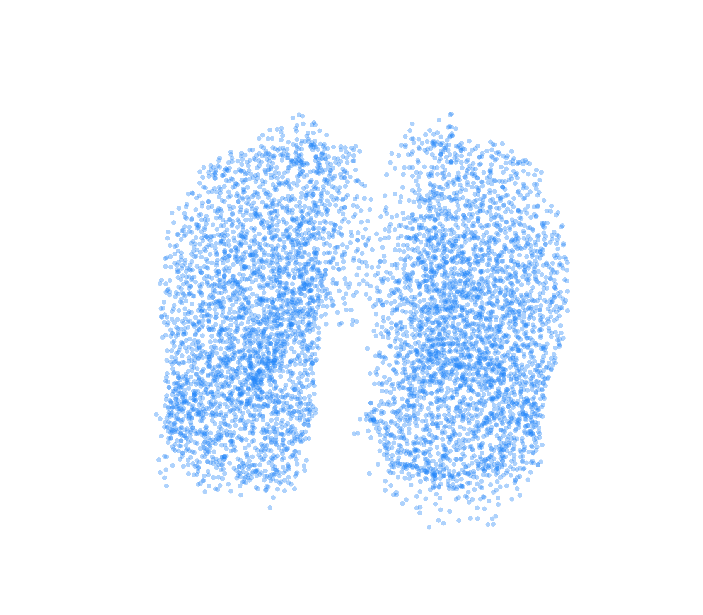 Point Cloud (Inspiration) - Front View