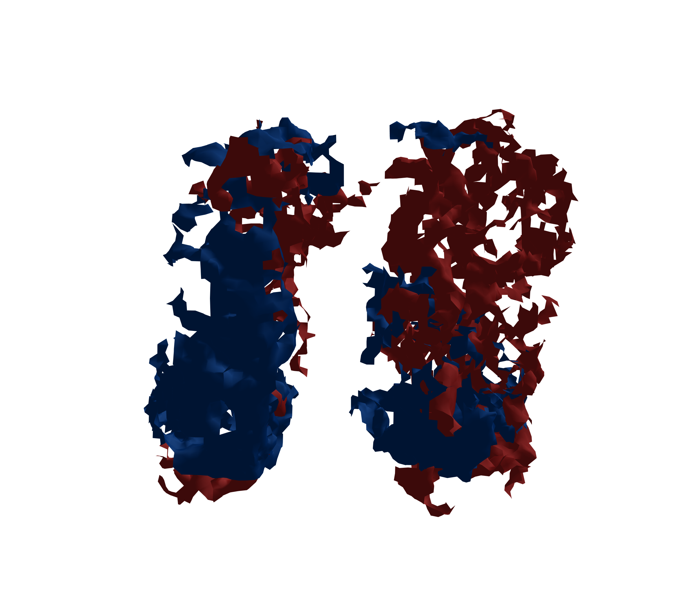 Surface Mesh - Front View