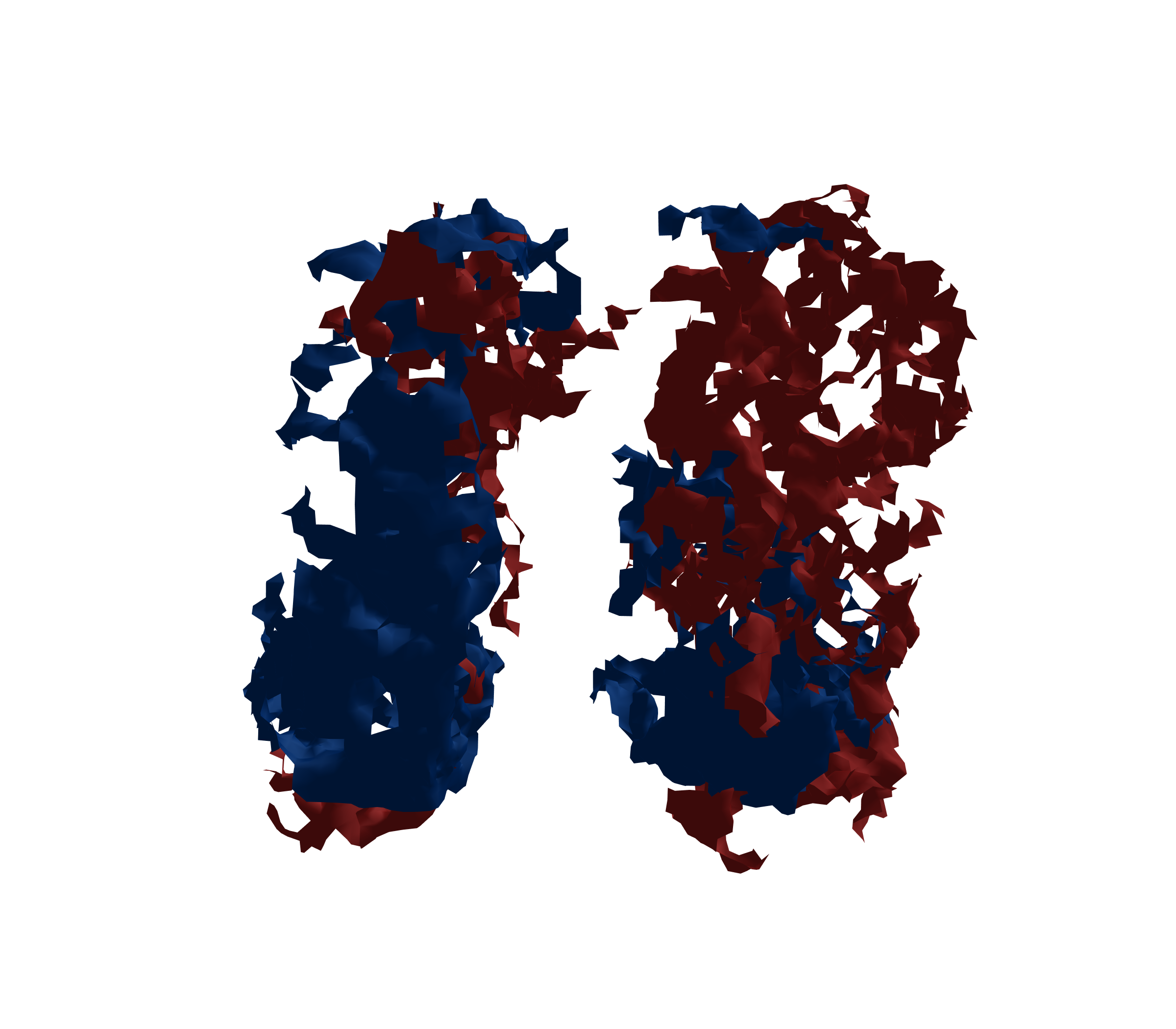 Surface Mesh - Front View