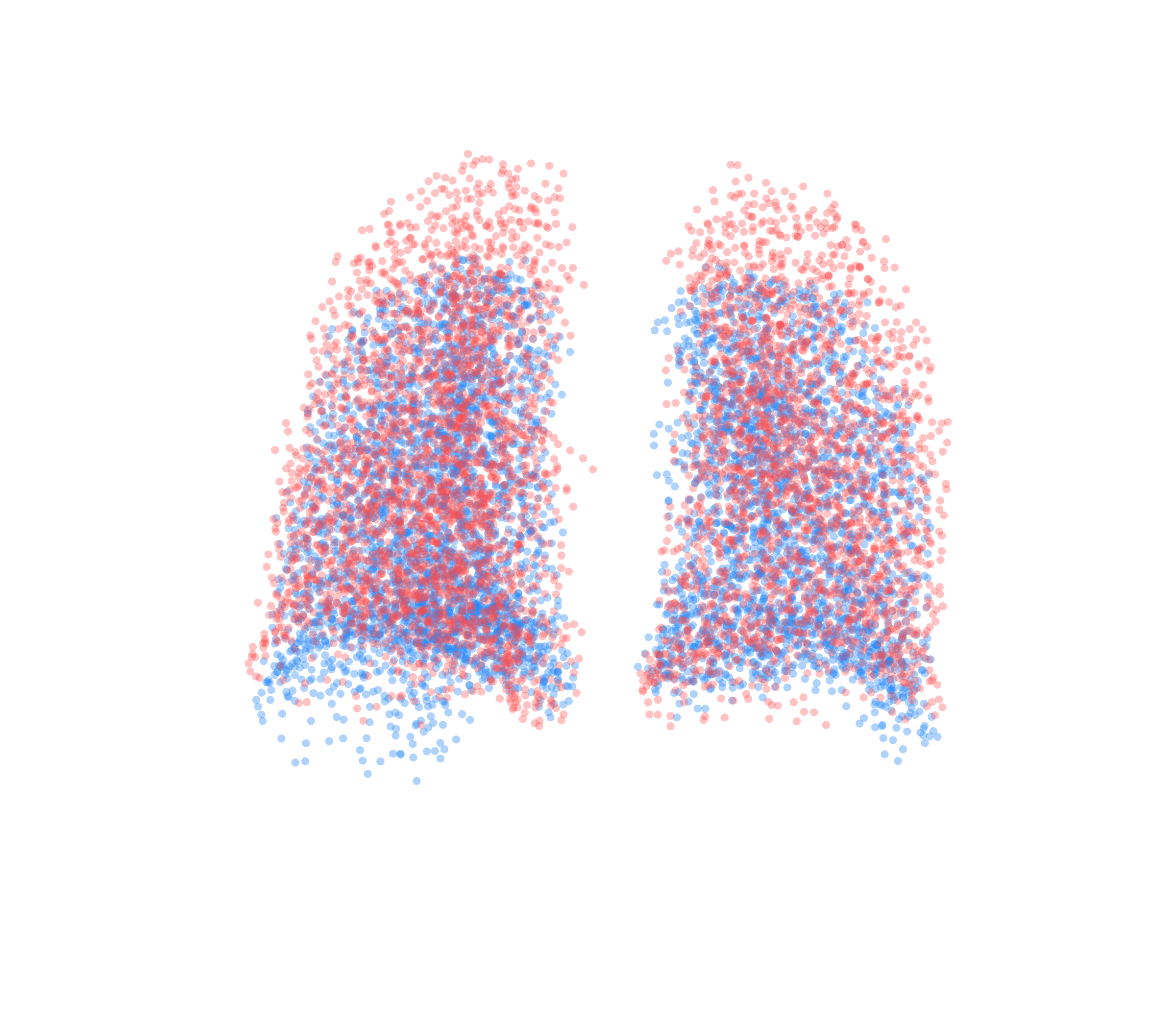 Point Cloud - Back View