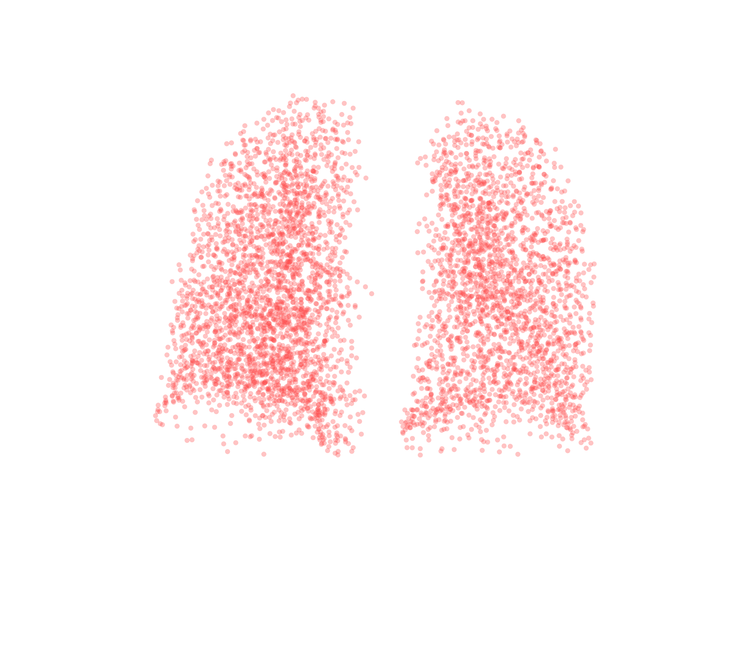 Point Cloud (Expiration) - Back View