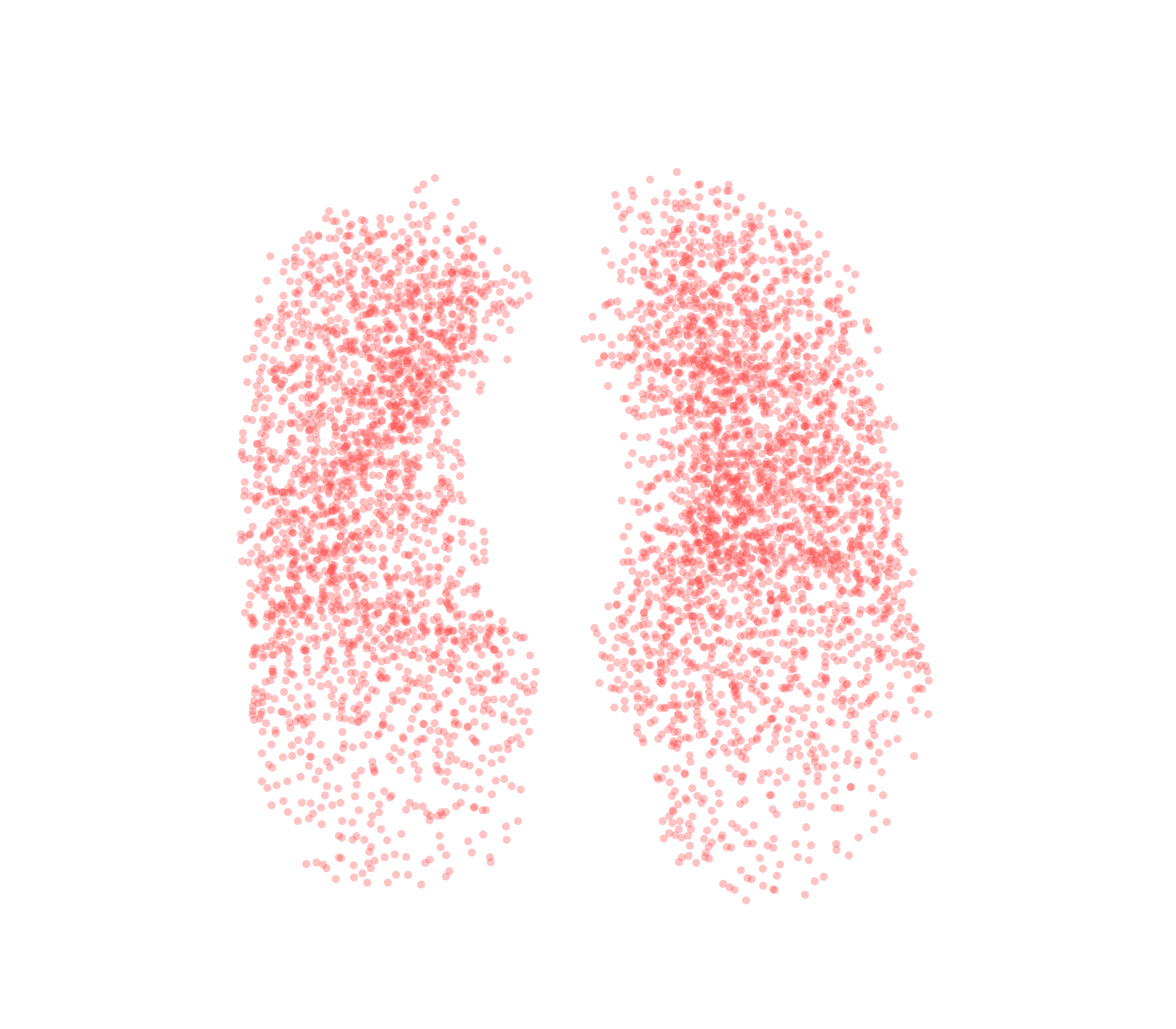 Point Cloud (Expiration) - Front View