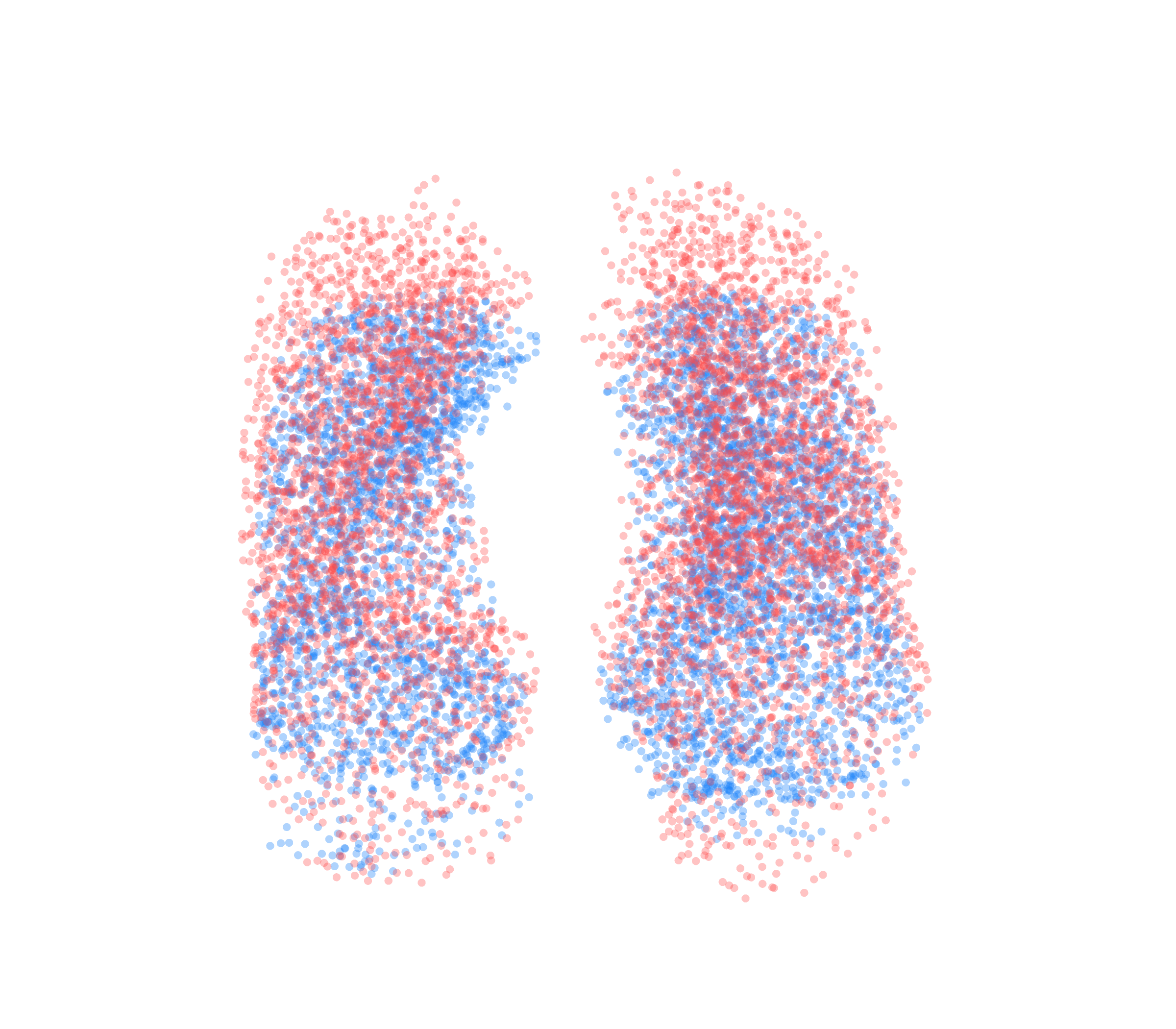 Point Cloud - Front View