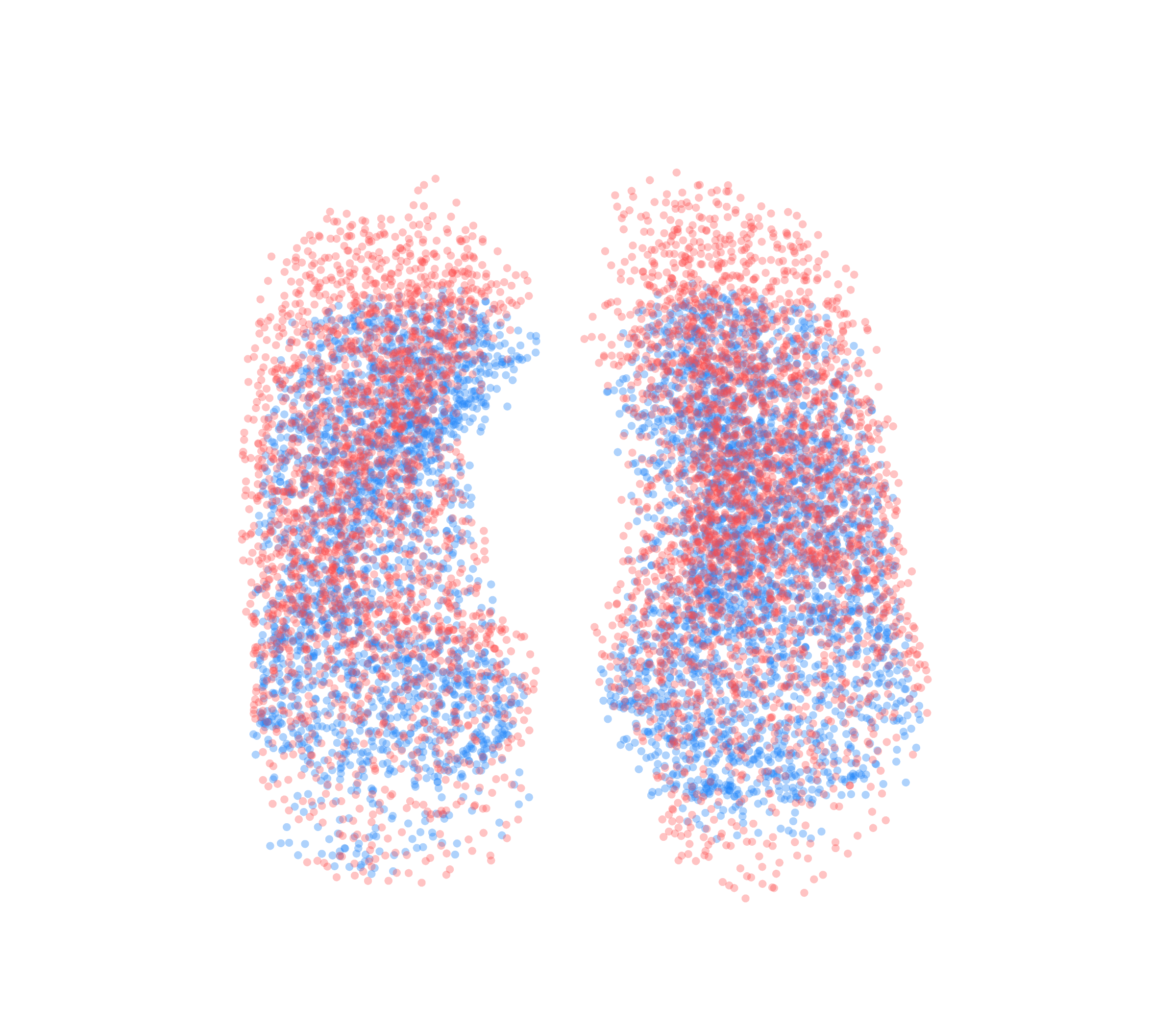 Point Cloud - Front View