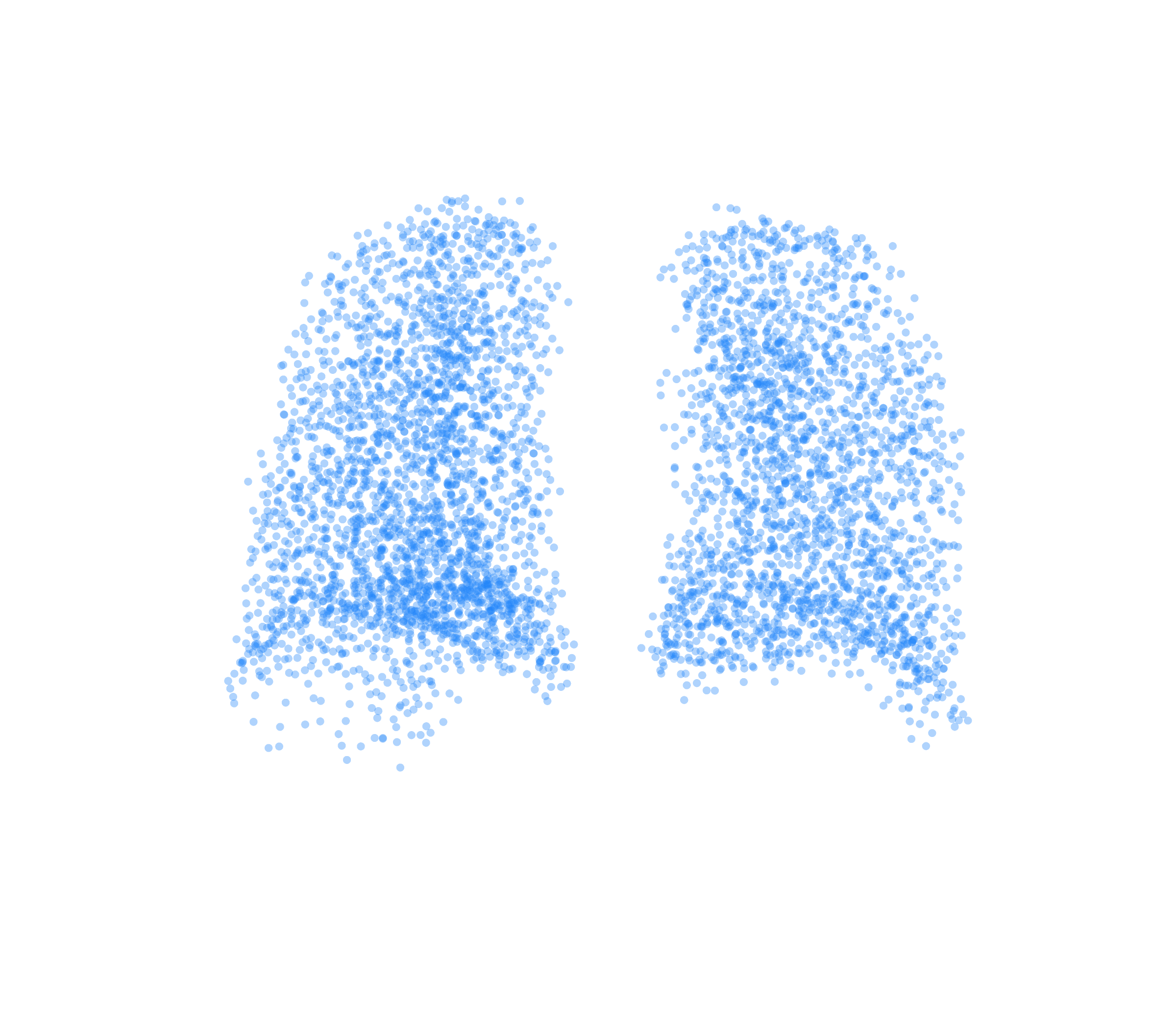 Point Cloud (Inspiration) - Back View