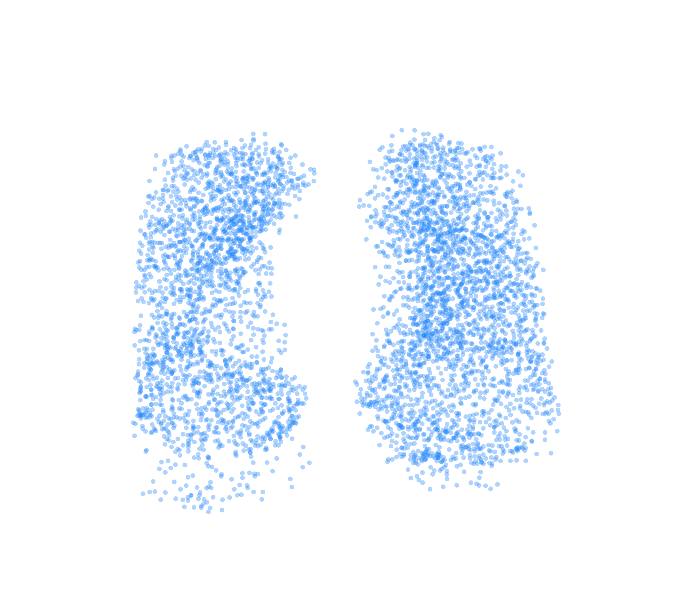 Point Cloud (Inspiration) - Front View