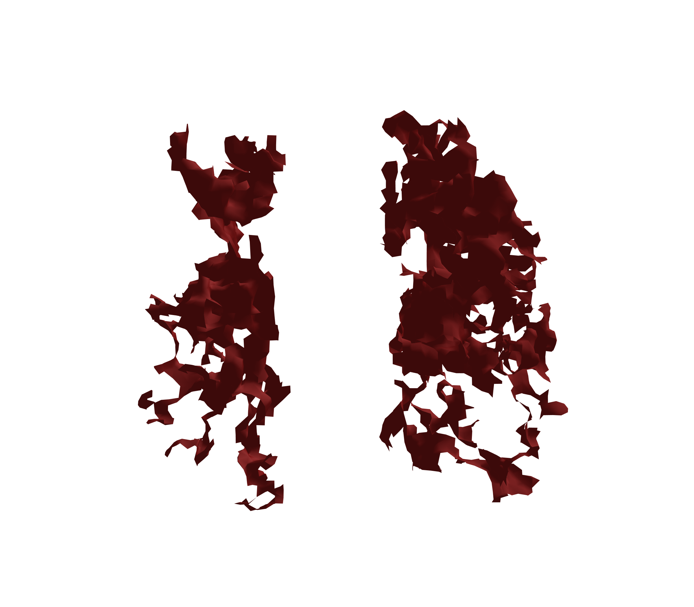 Surface Mesh (Expiration) - Front View