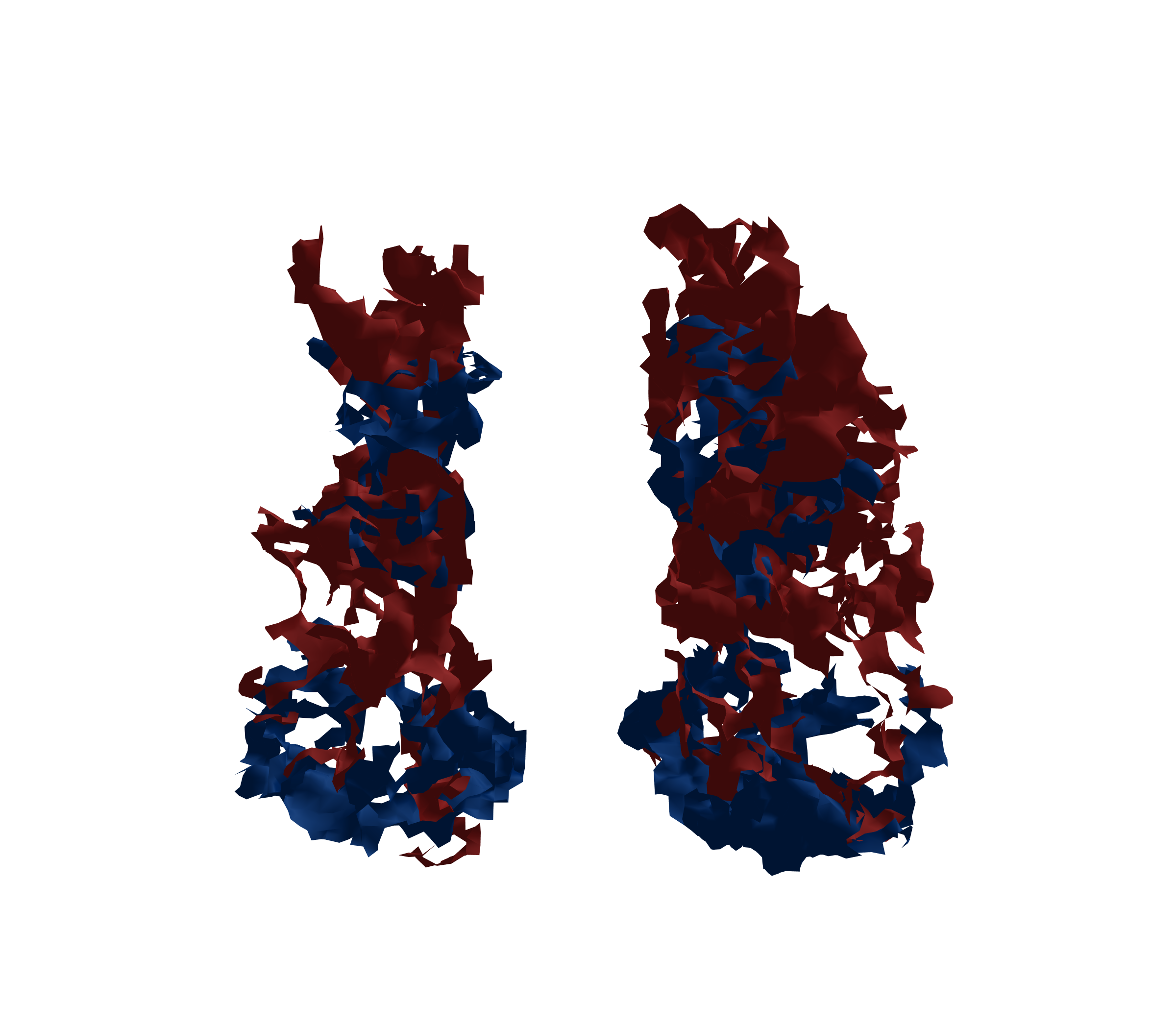 Surface Mesh - Front View