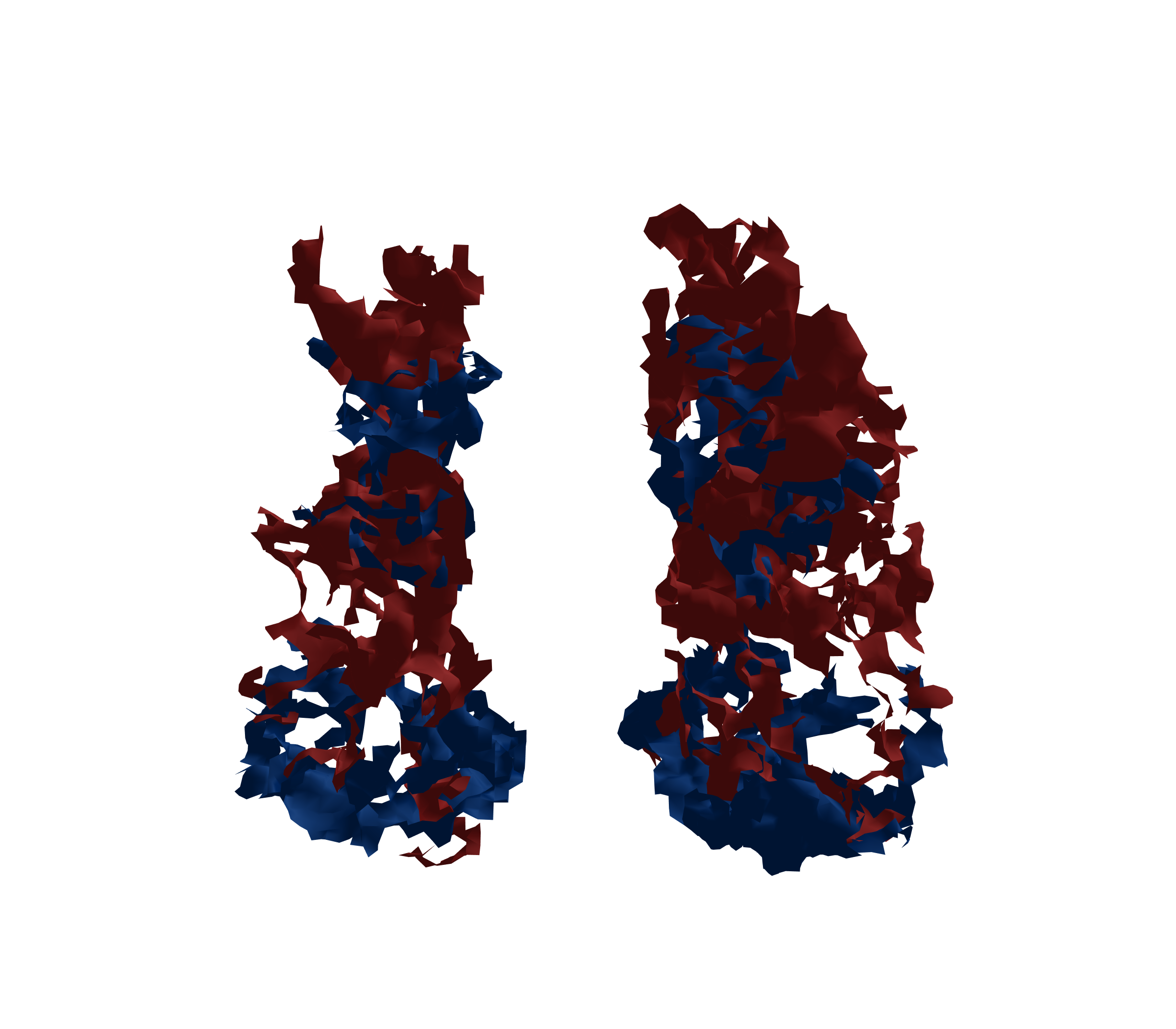 Surface Mesh - Front View