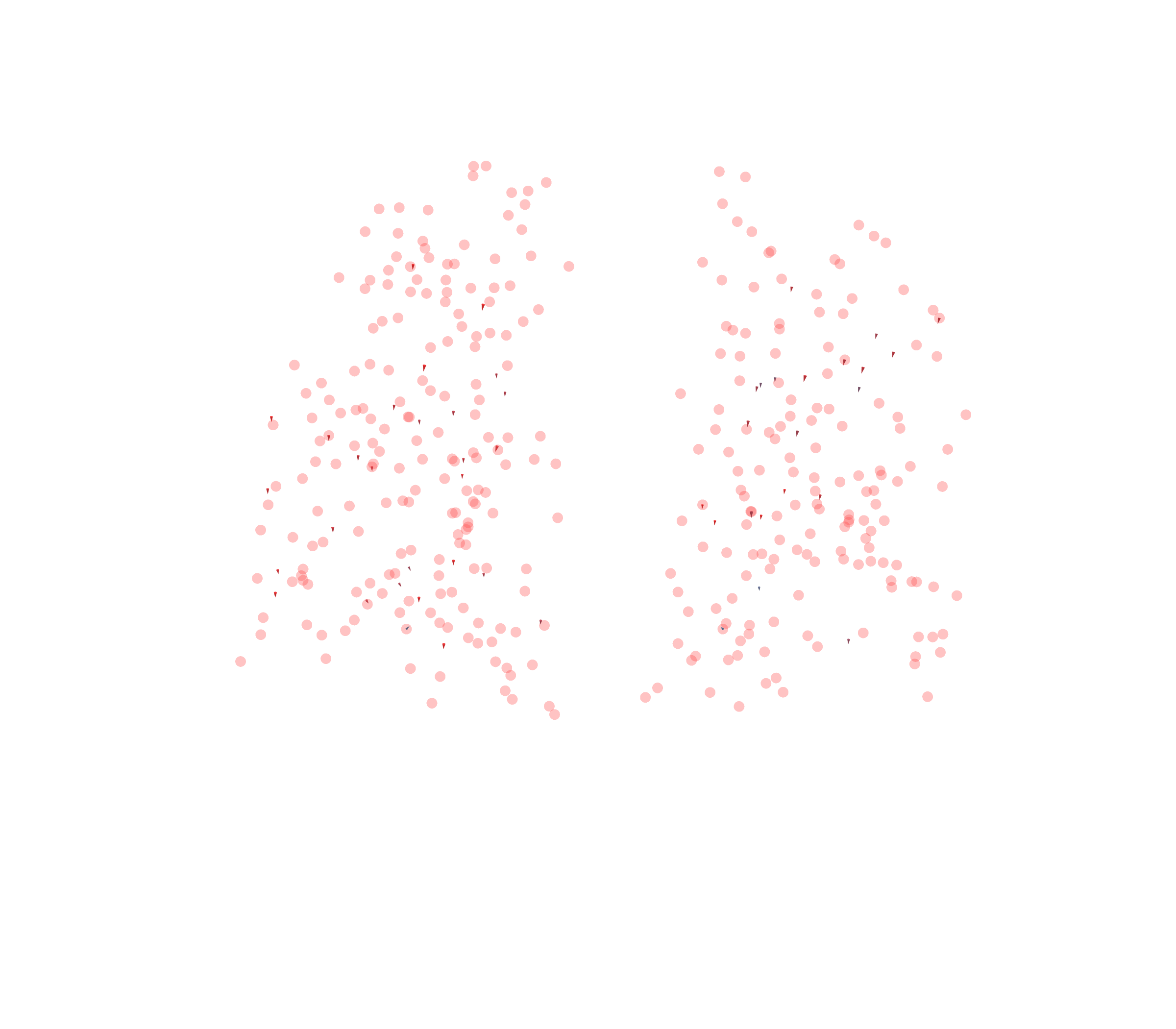 Displacement Vectors - Back View