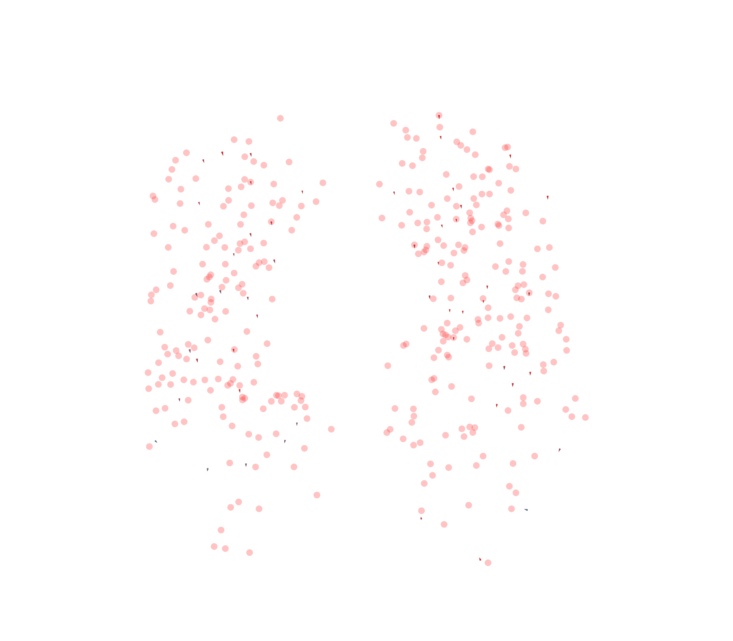 Displacement Vectors - Front View