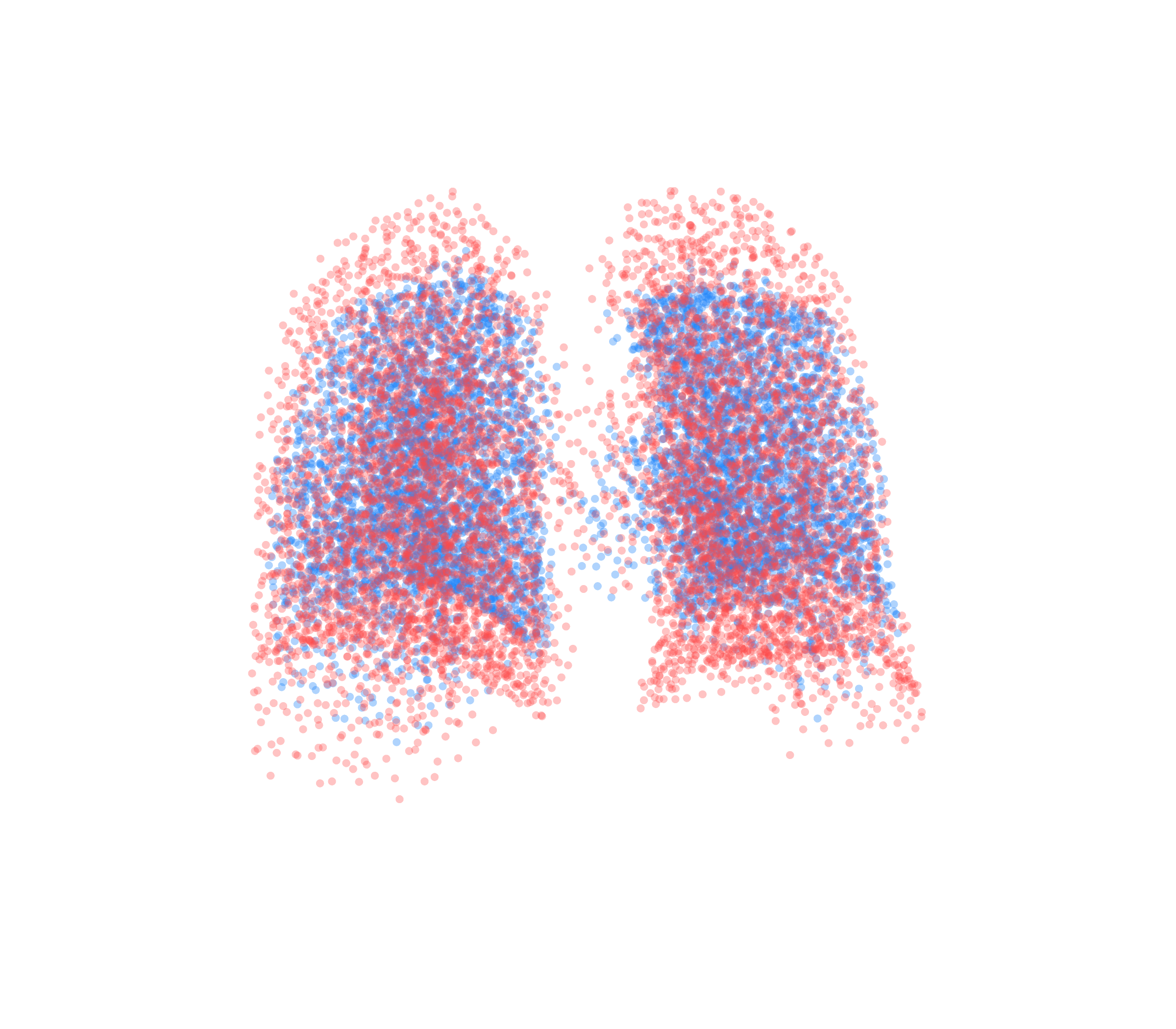 Point Cloud - Back View