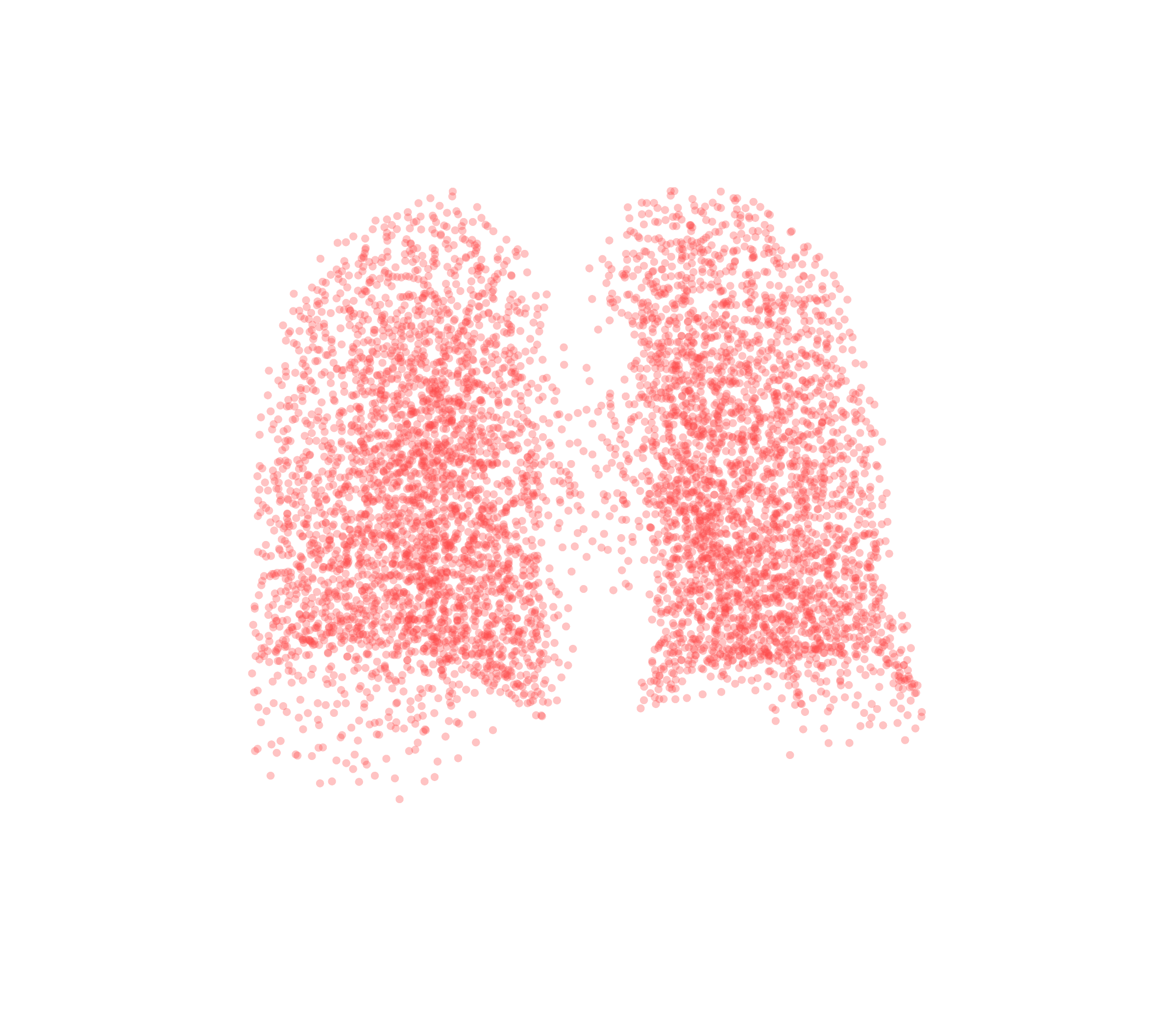 Point Cloud (Expiration) - Back View
