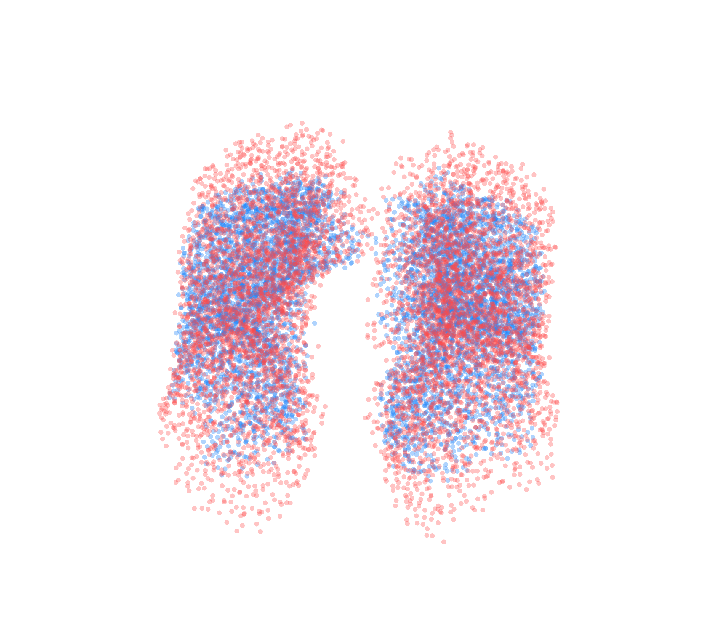 Point Cloud - Front View